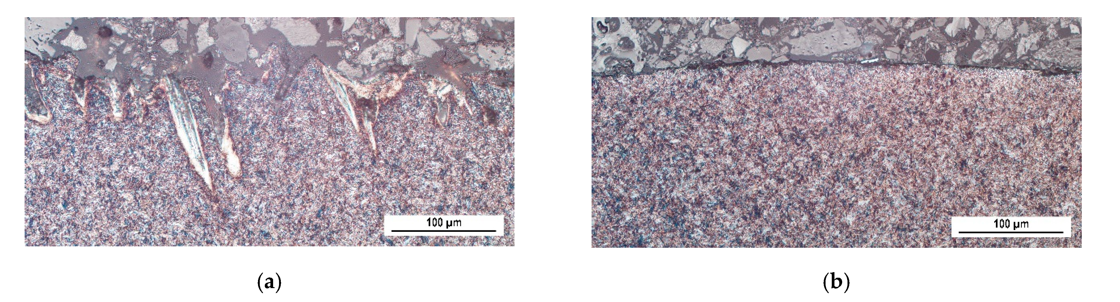 Coatings 10 00912 g006