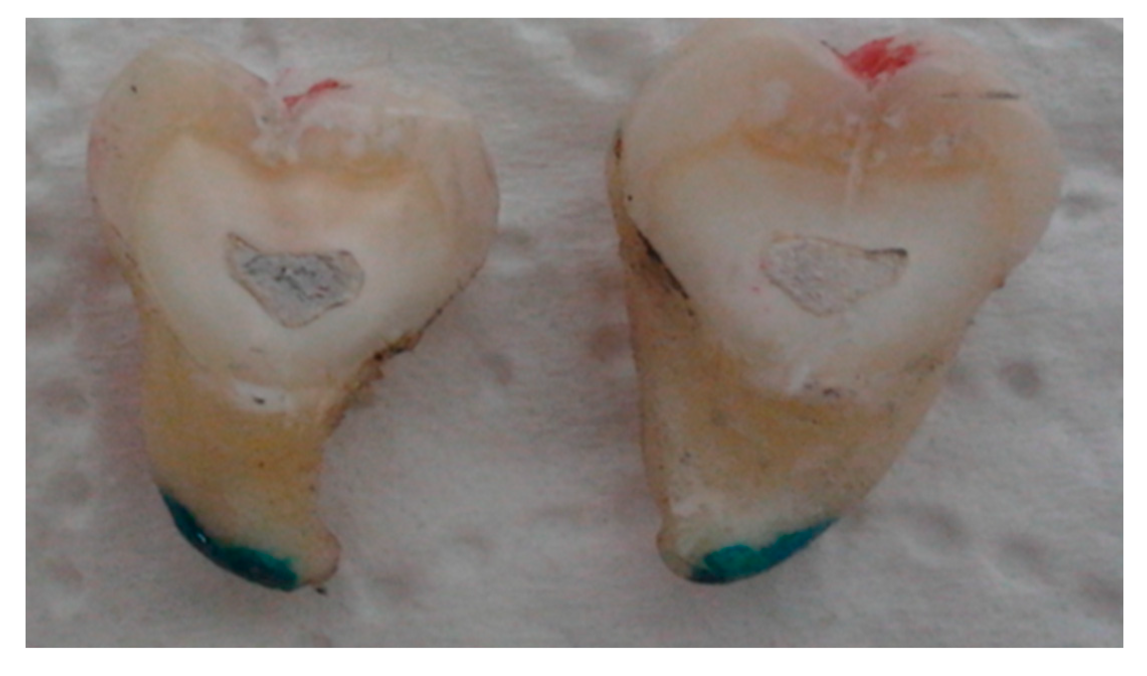 Coatings 10 00915 g002