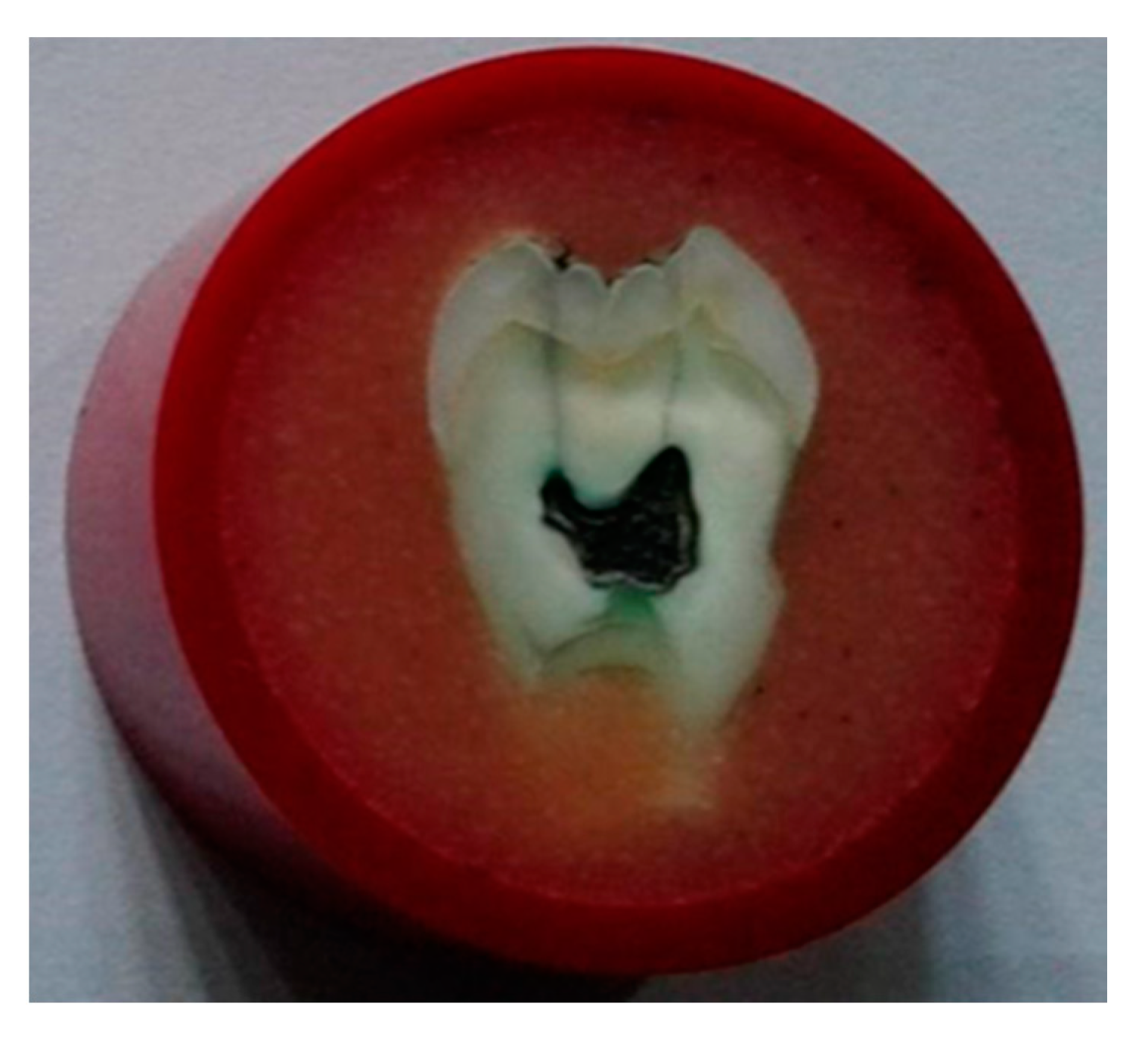 Coatings 10 00915 g003