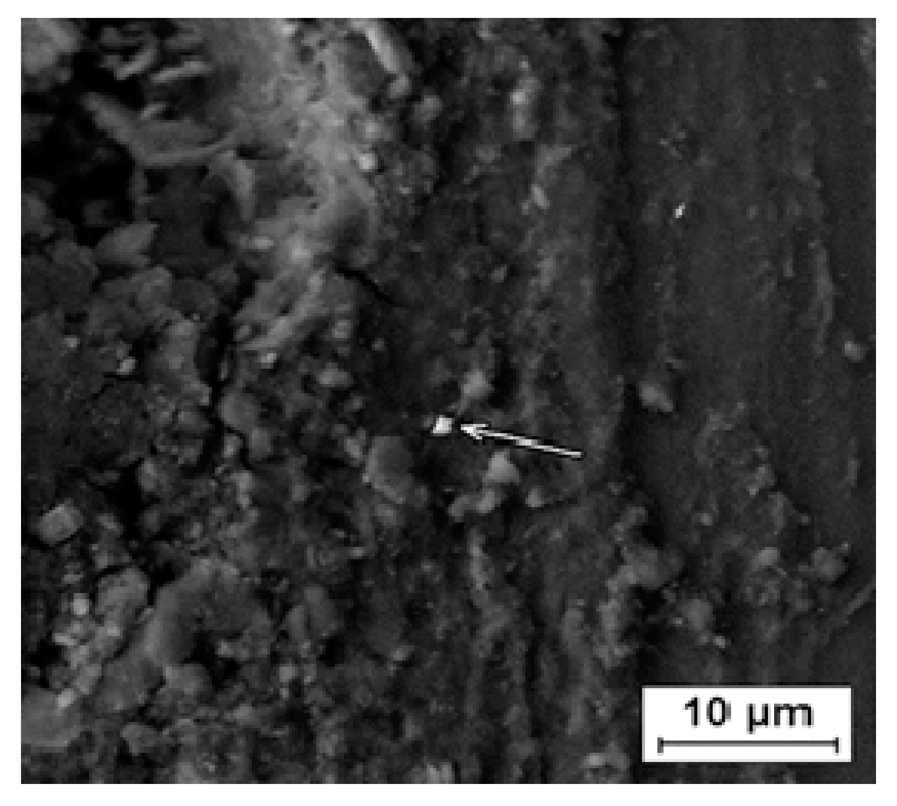 Coatings 10 00915 g004