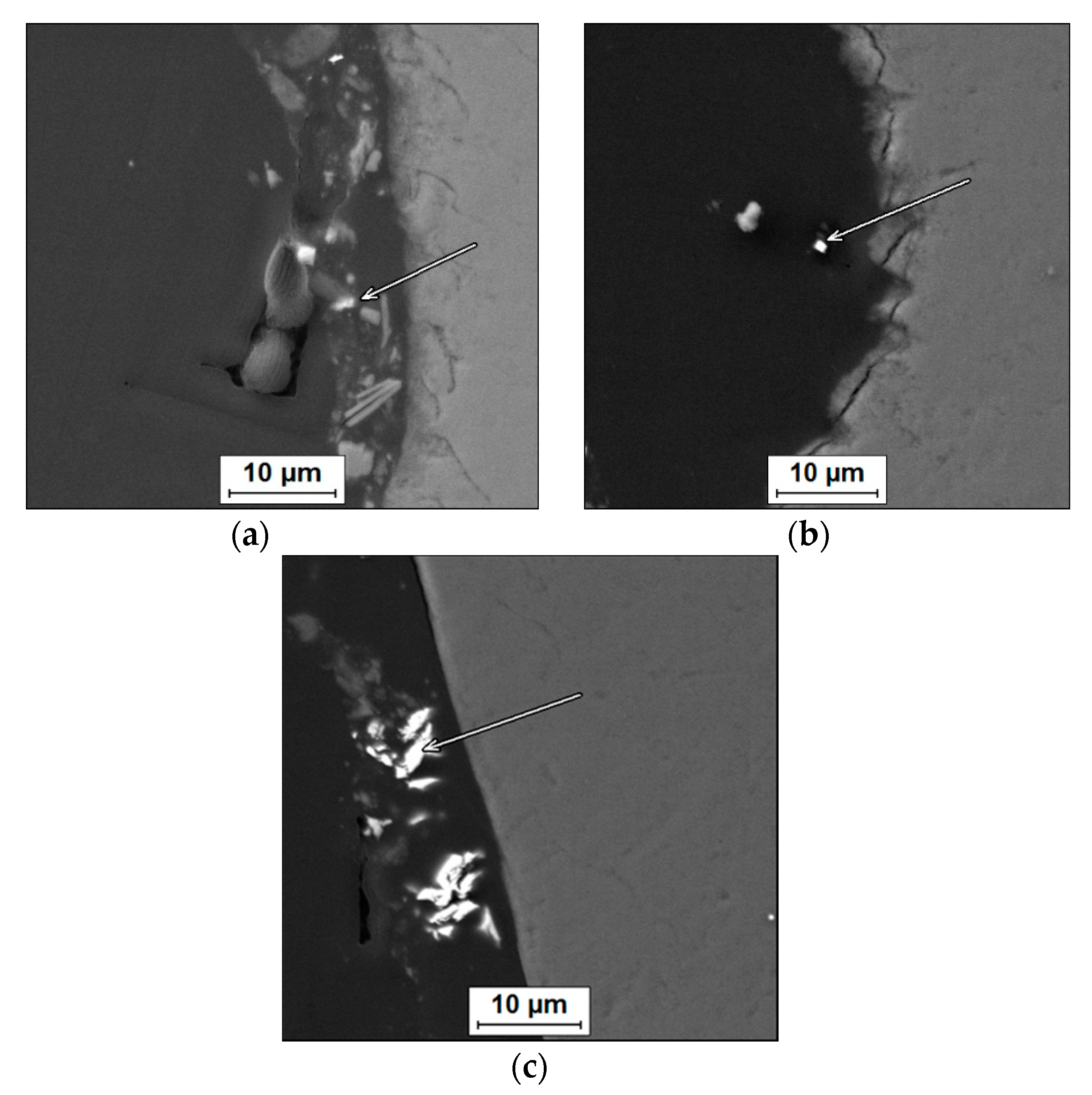 Coatings 10 00915 g005