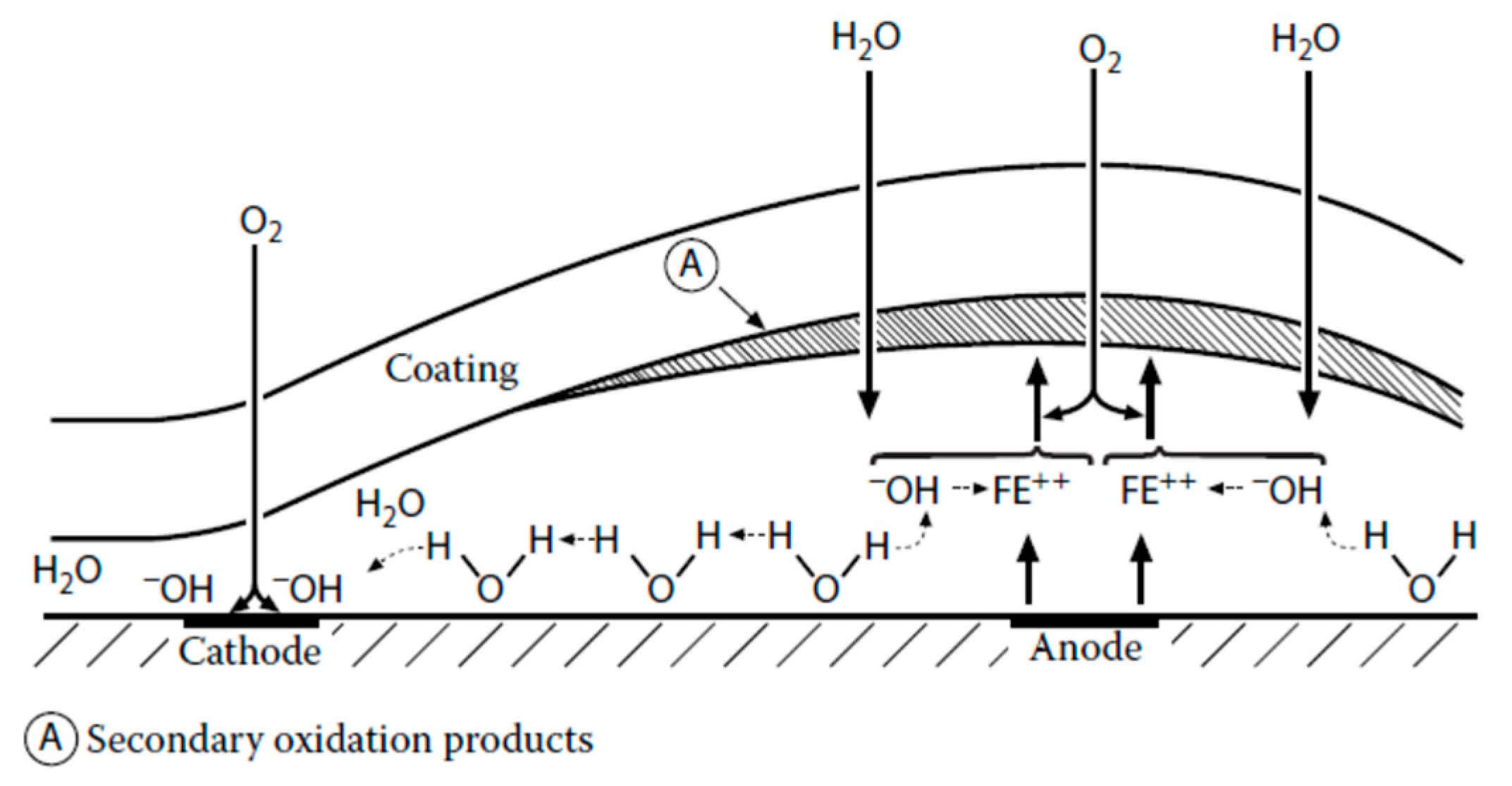 Coatings 10 00916 g010