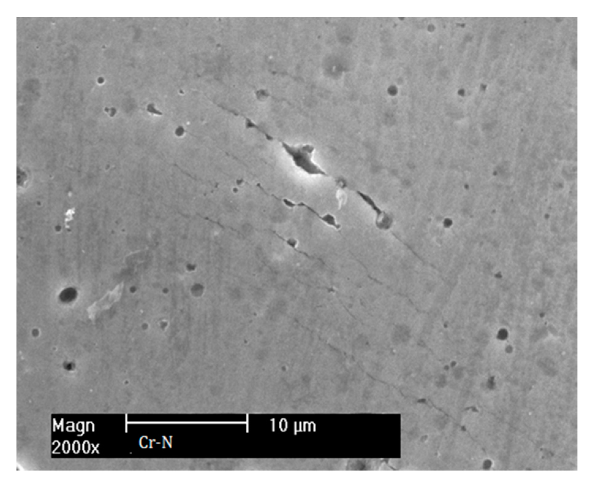Coatings 10 00921 g005