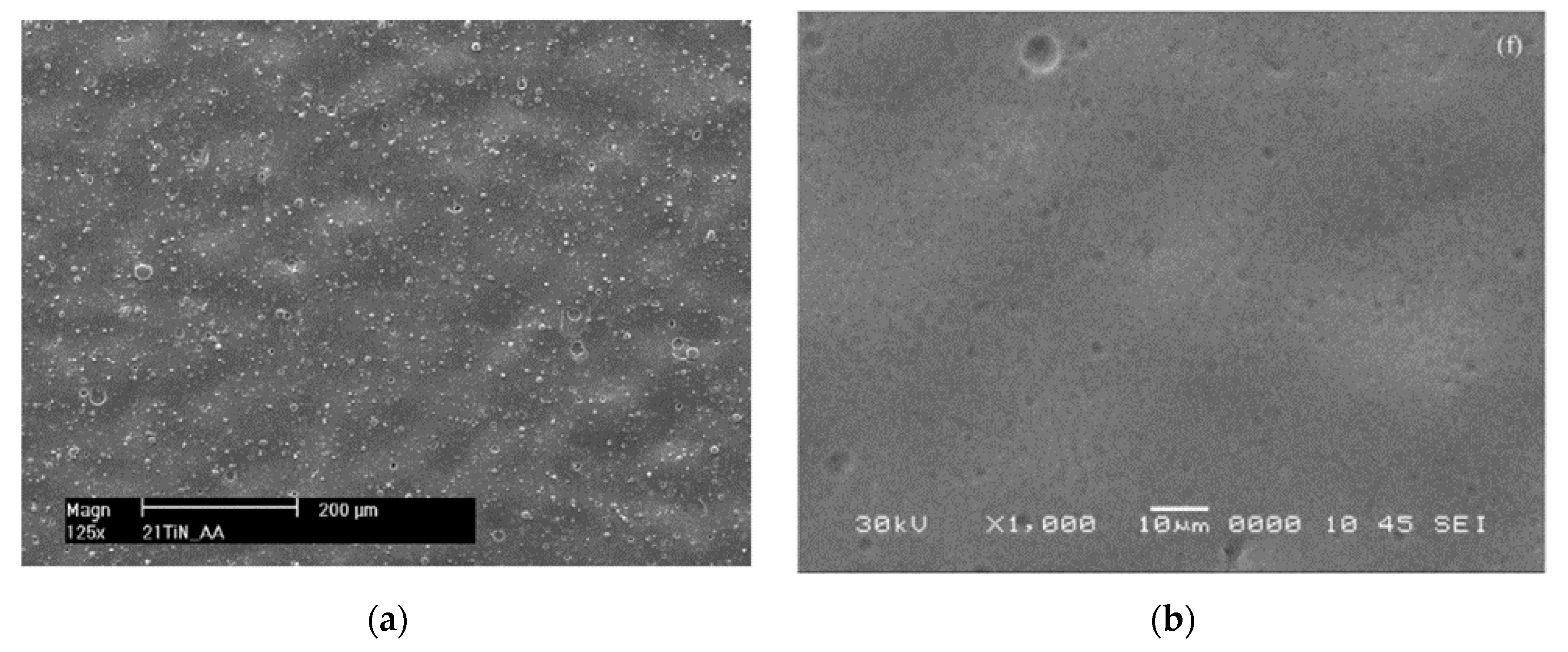 Coatings 10 00921 g006