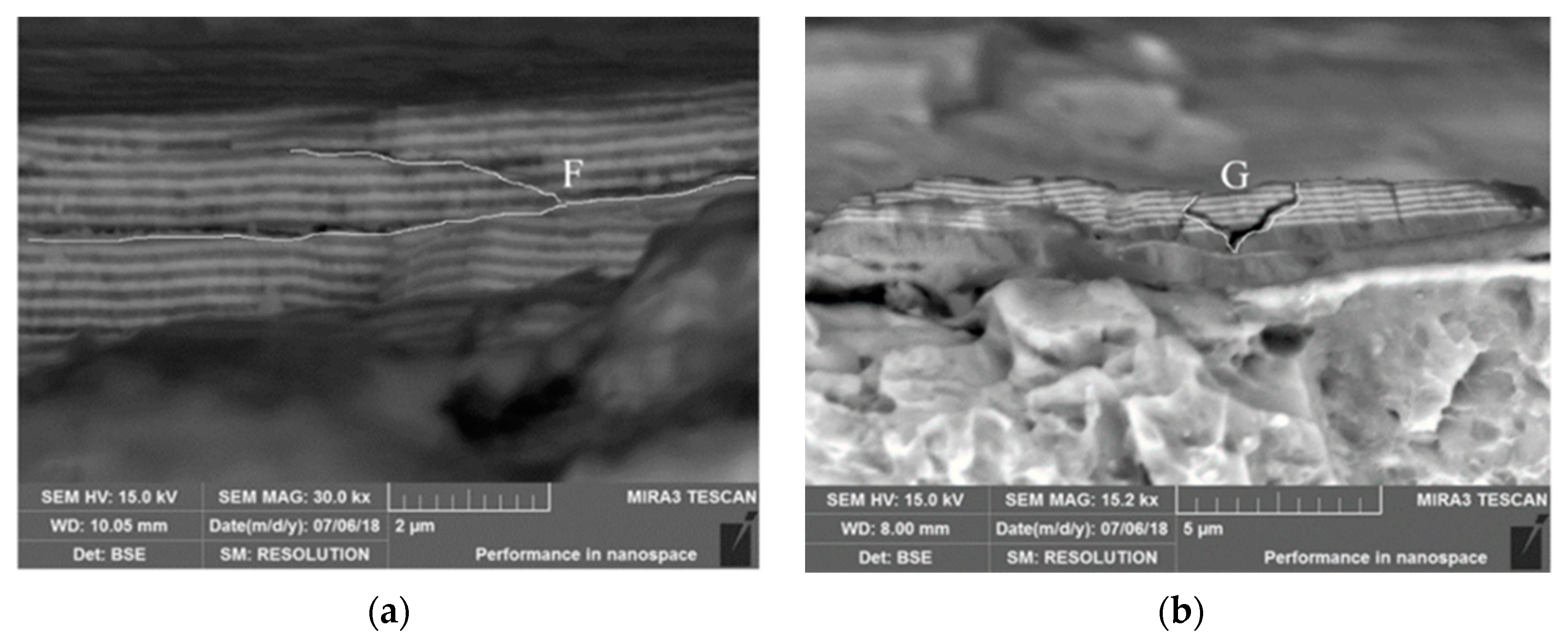 Coatings 10 00921 g013