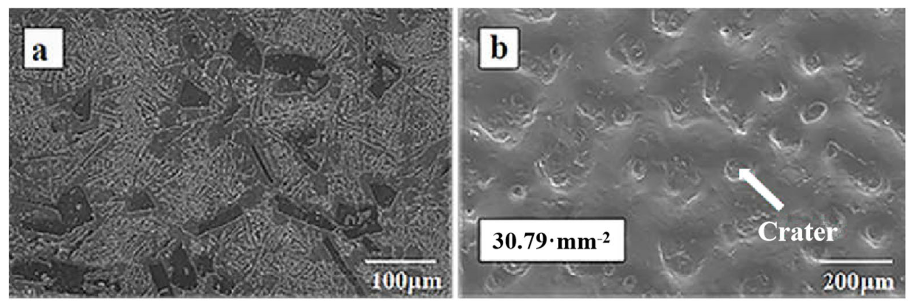 Coatings 10 00922 g001