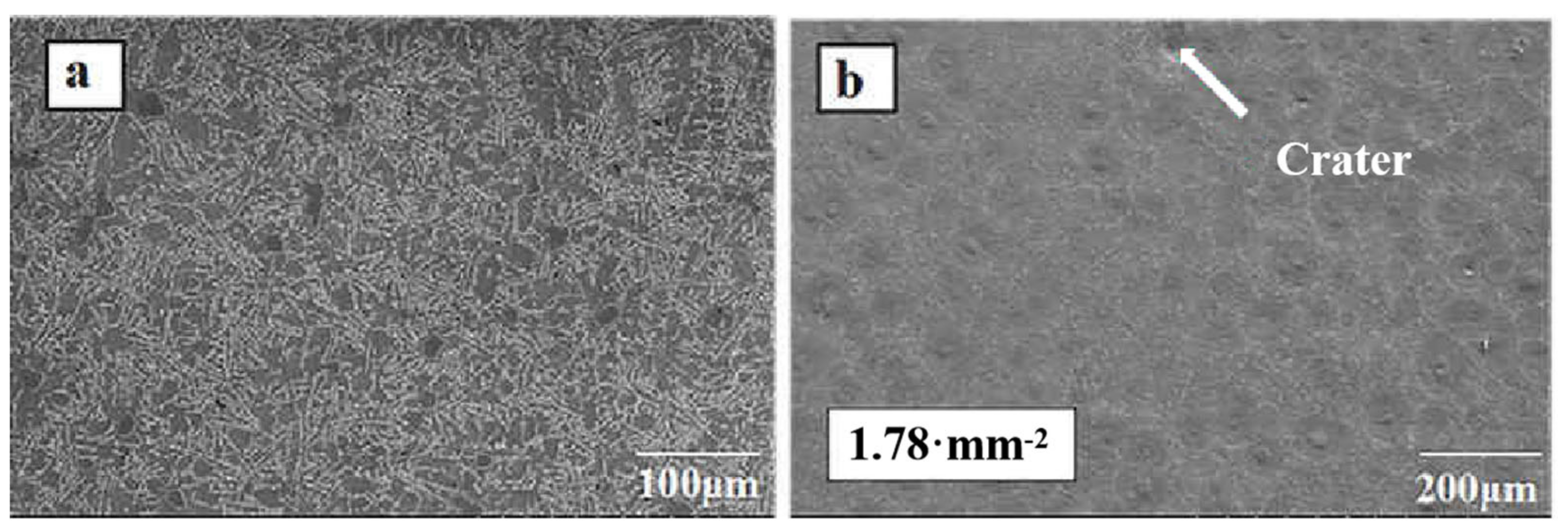Coatings 10 00922 g002