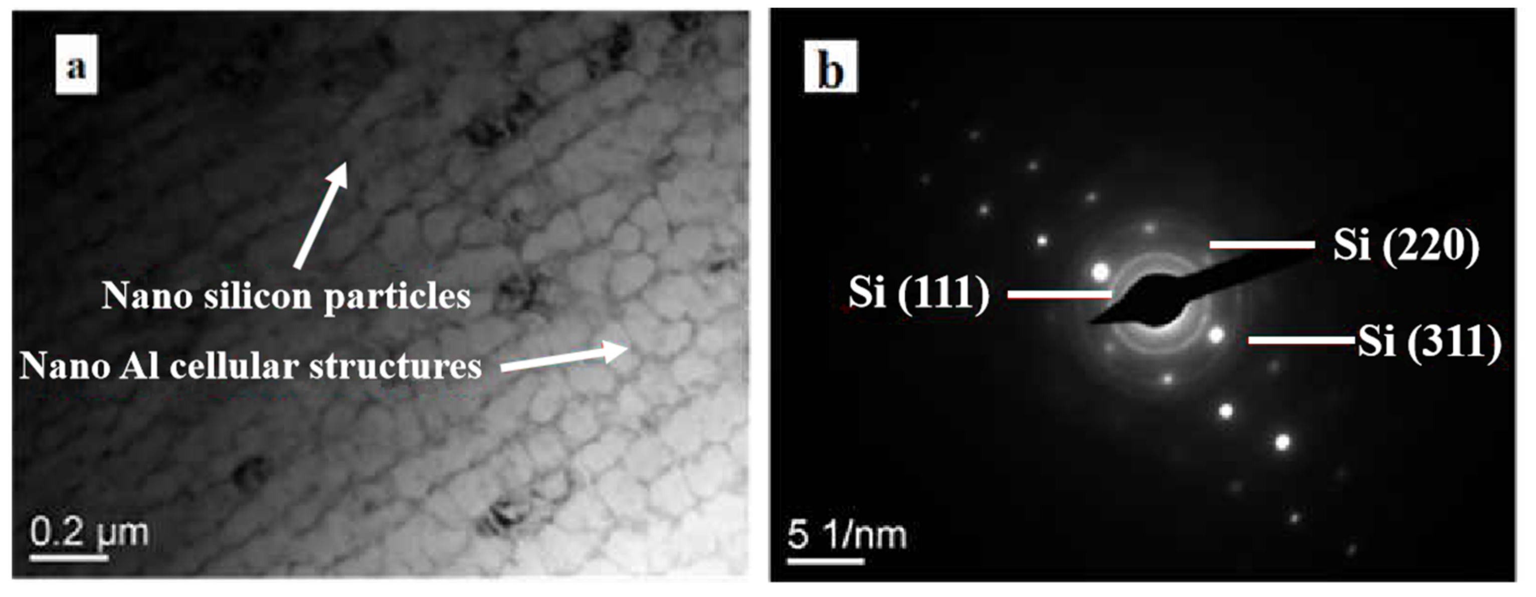 Coatings 10 00922 g006