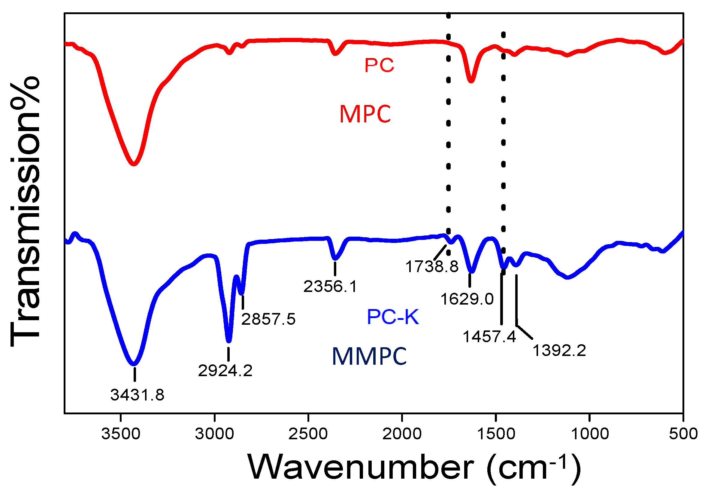Coatings 10 00923 g001 550