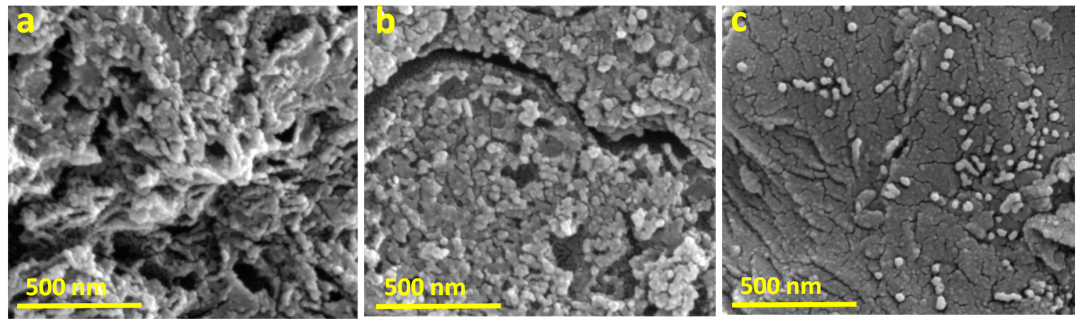 Coatings 10 00923 g003 550