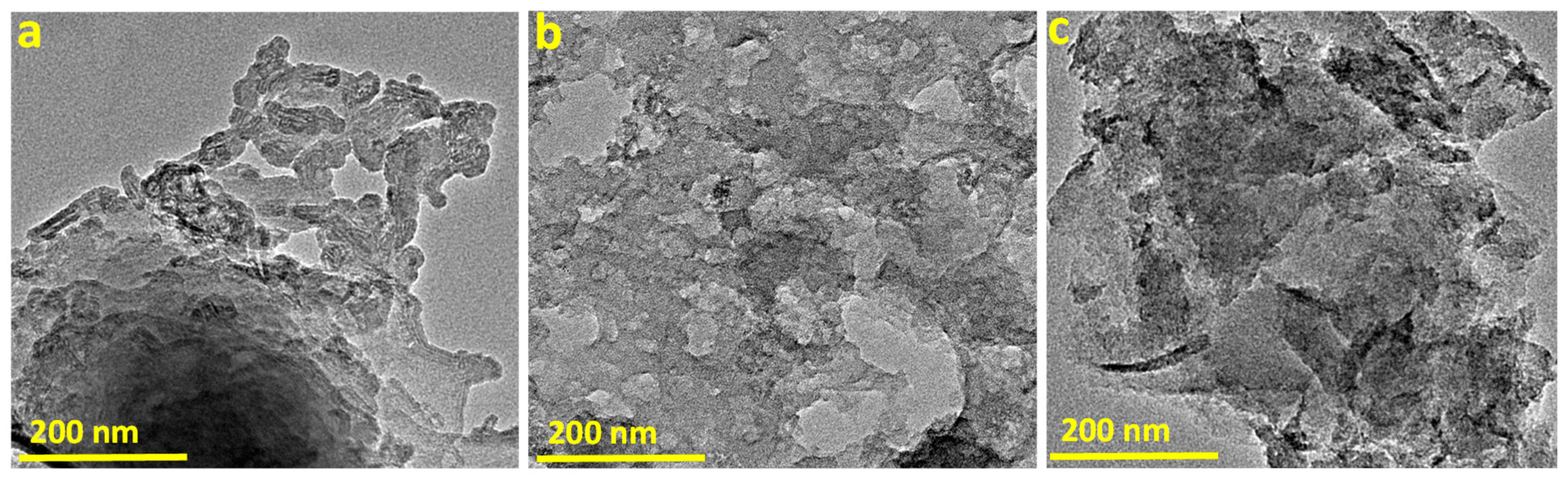 Coatings 10 00923 g004 550