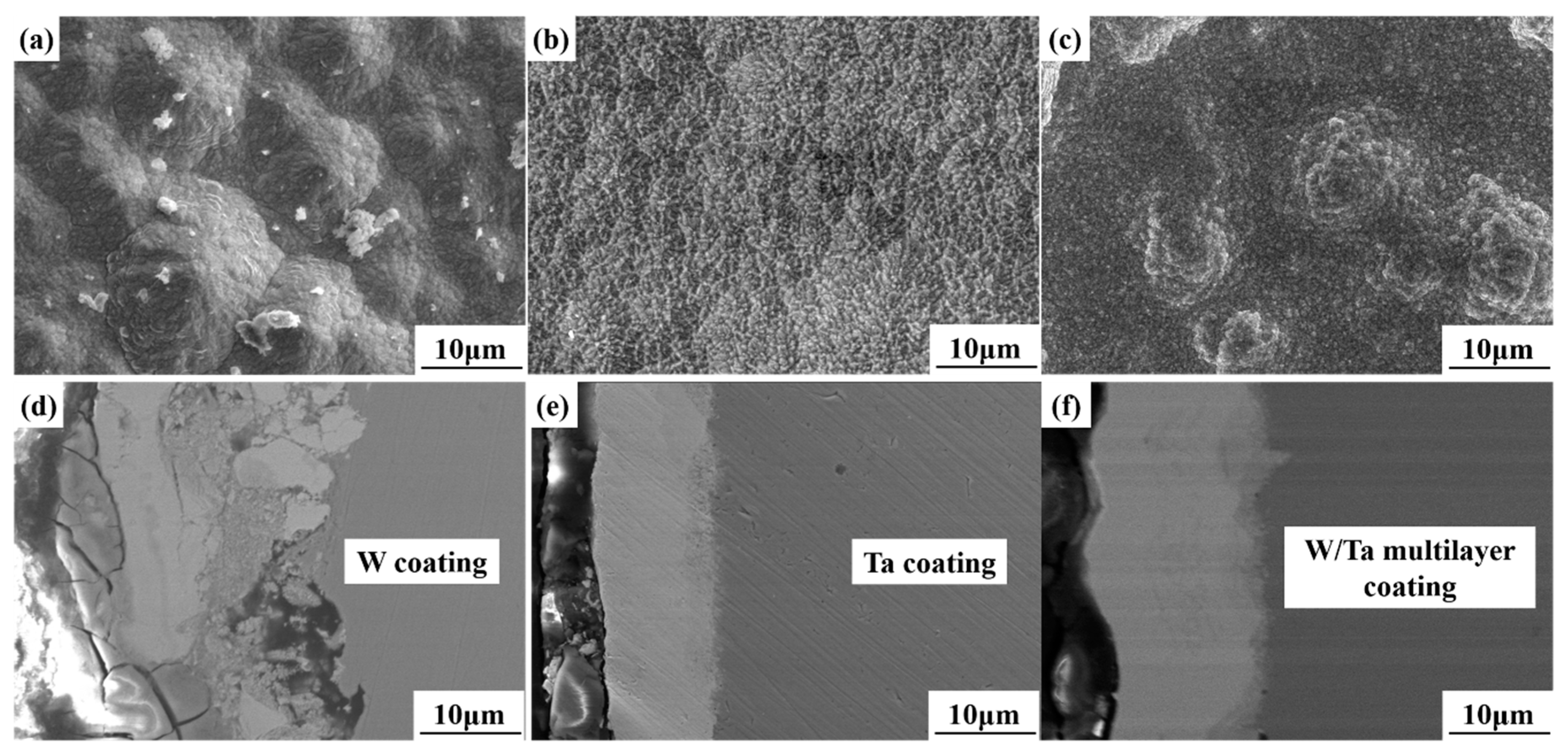 Coatings 10 00926 g002