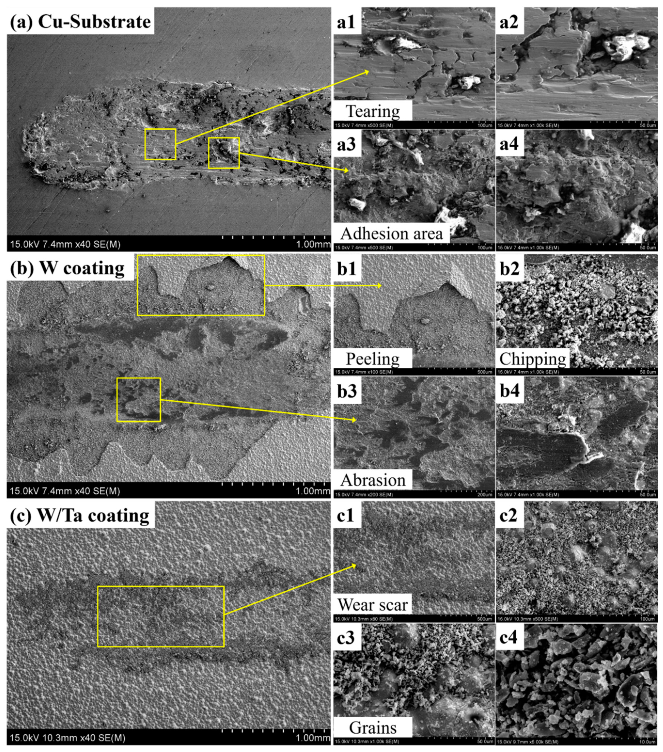 Coatings 10 00926 g008