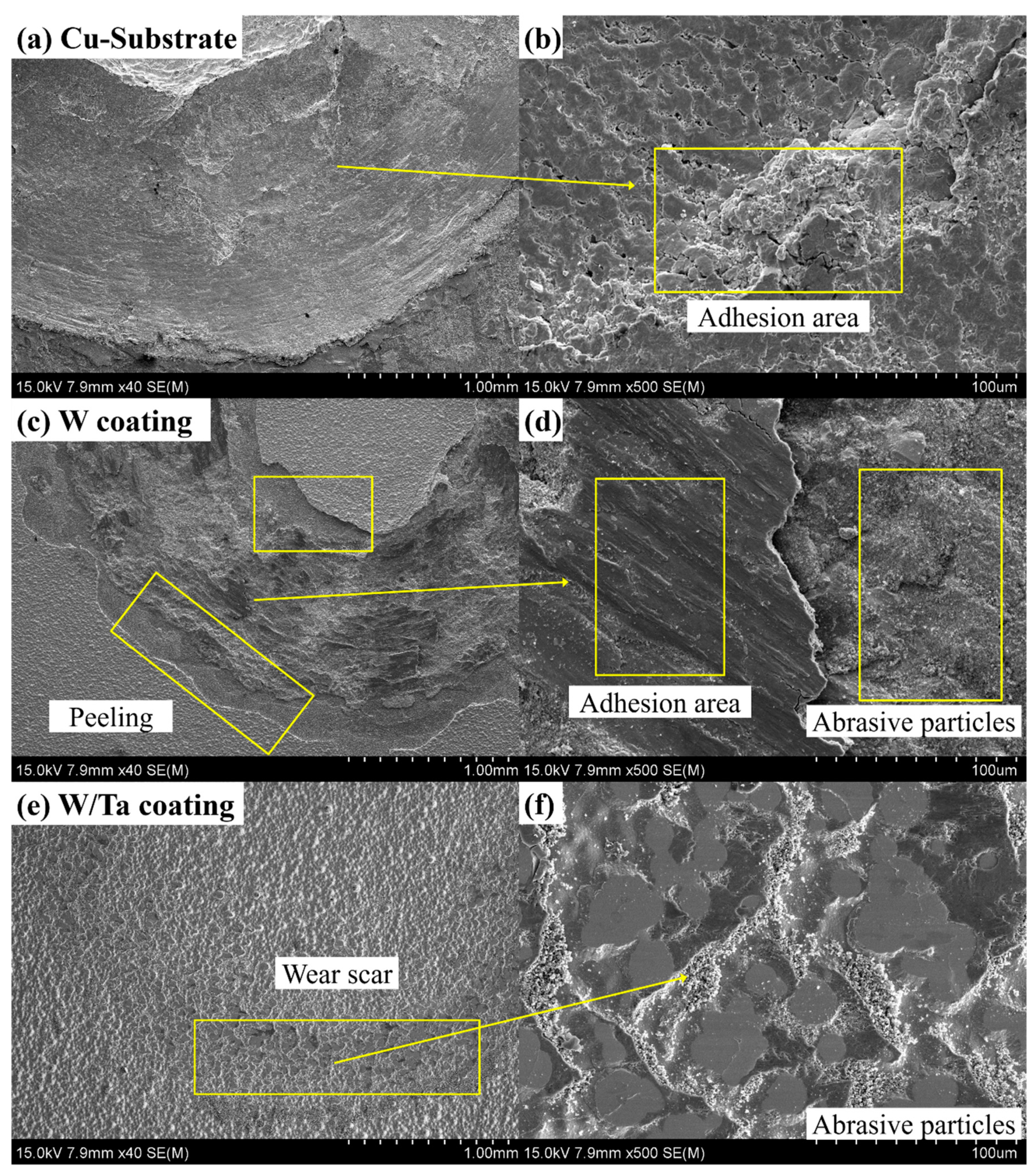 Coatings 10 00926 g009