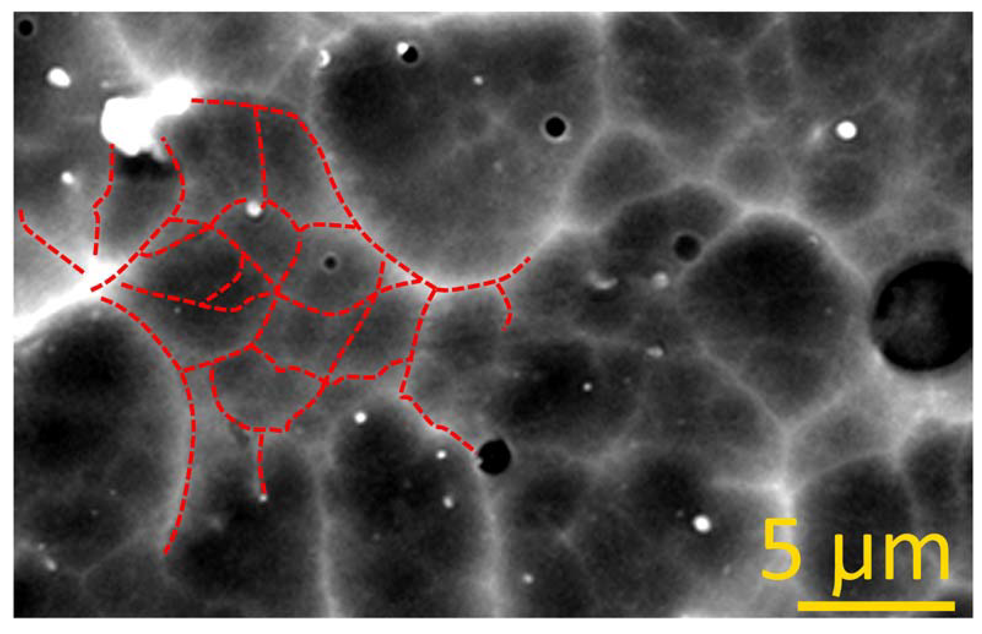 Coatings 10 00927 g003