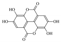 Coatings 10 00928 i007