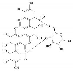 Coatings 10 00928 i008