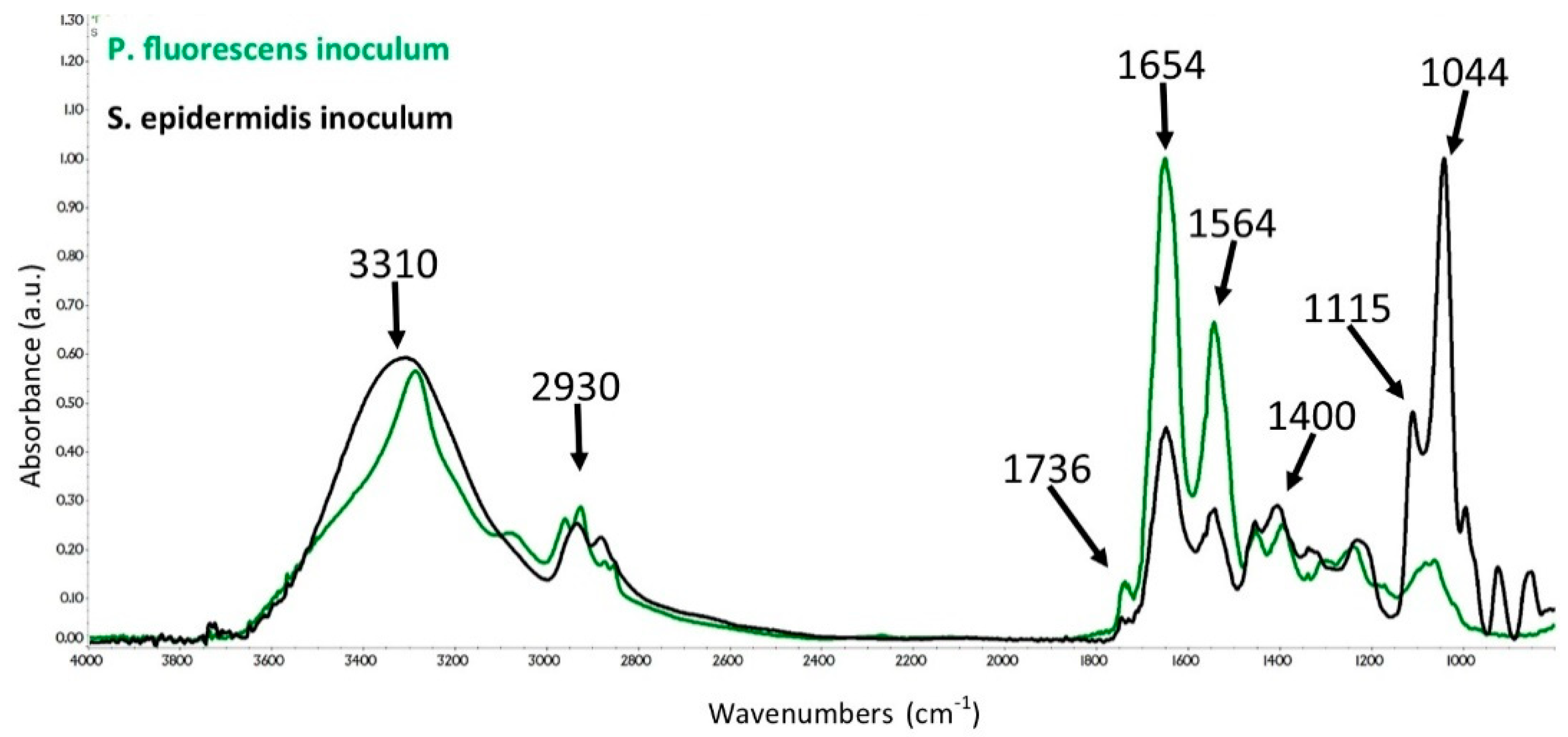 Coatings 10 00930 g002