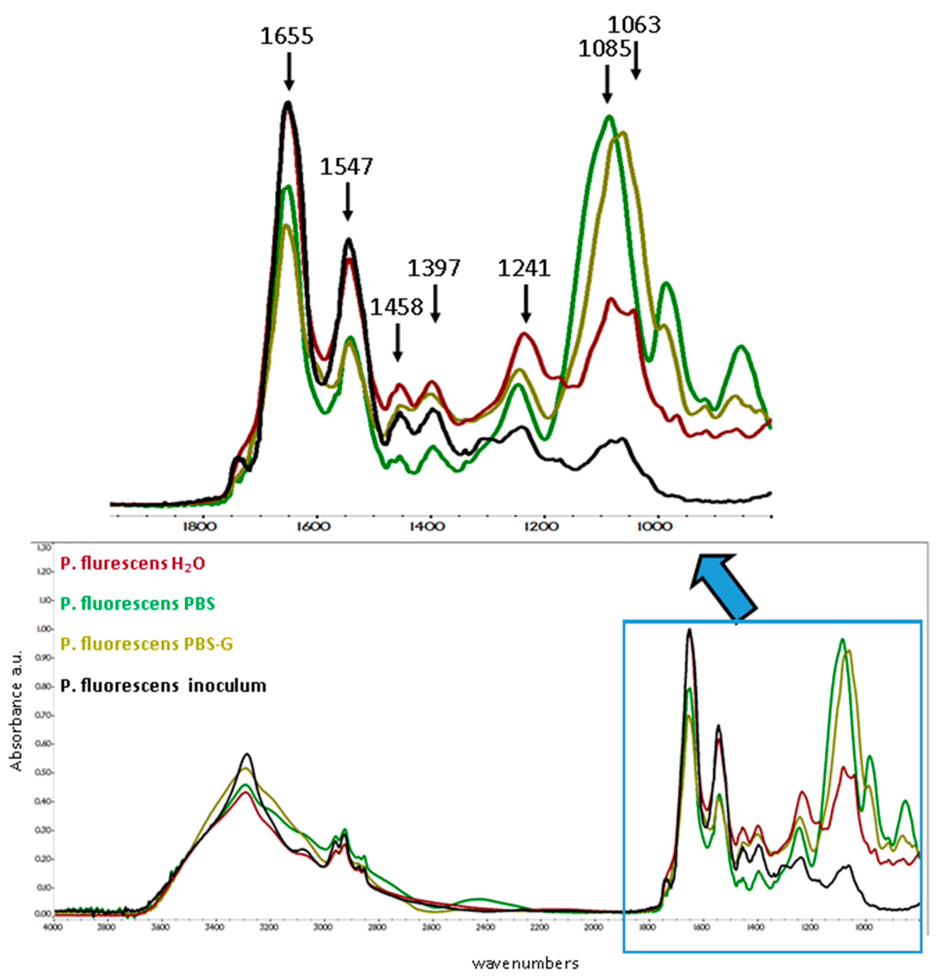 Coatings 10 00930 g006