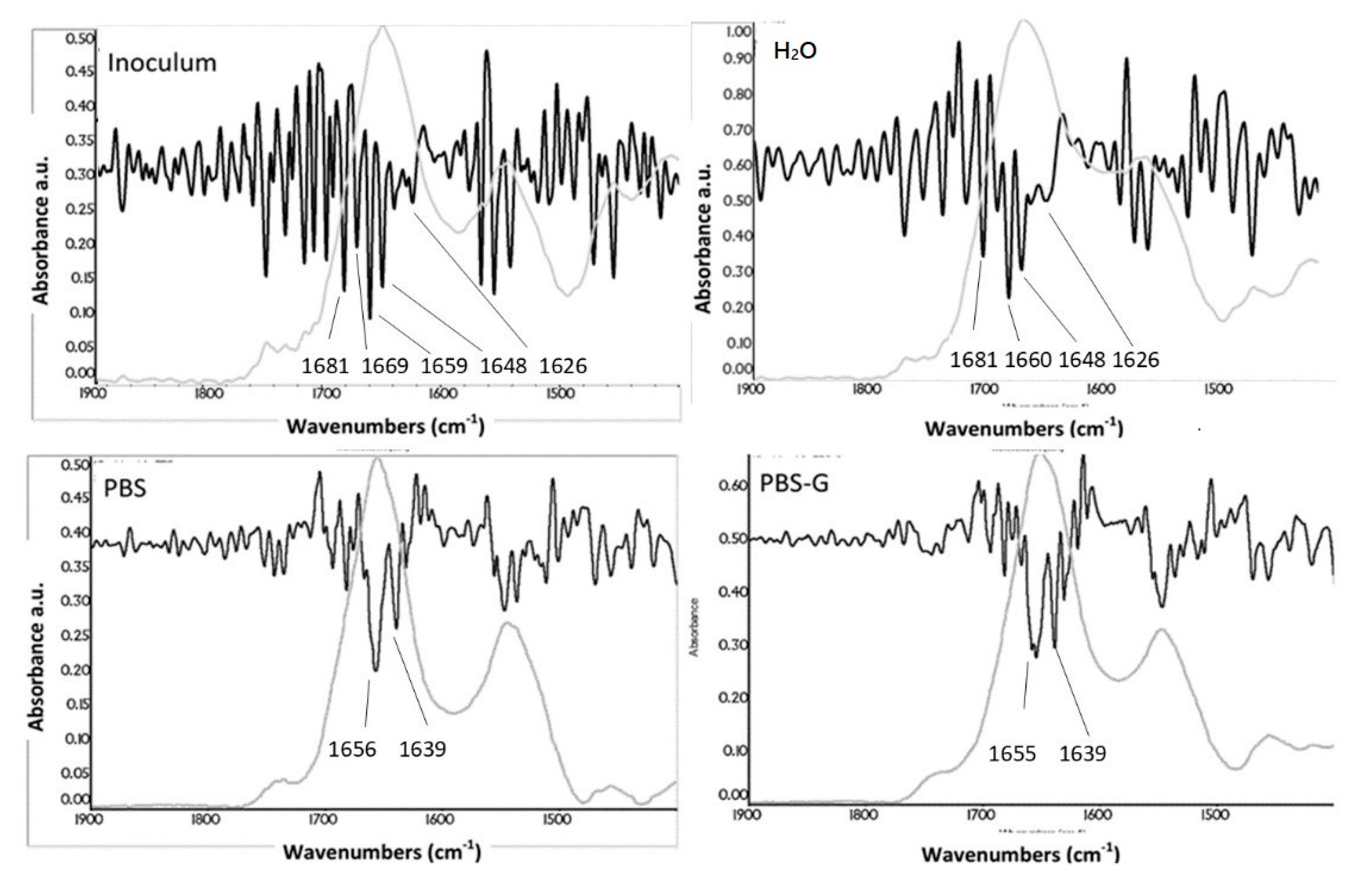 Coatings 10 00930 g007