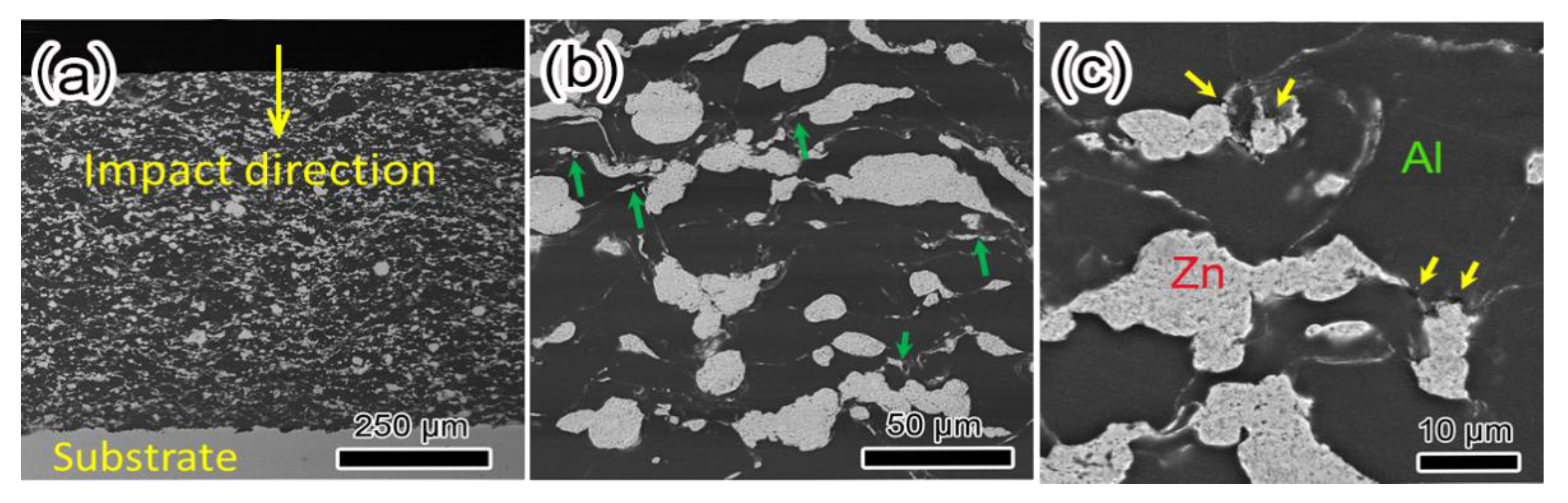 Coatings 10 00931 g002