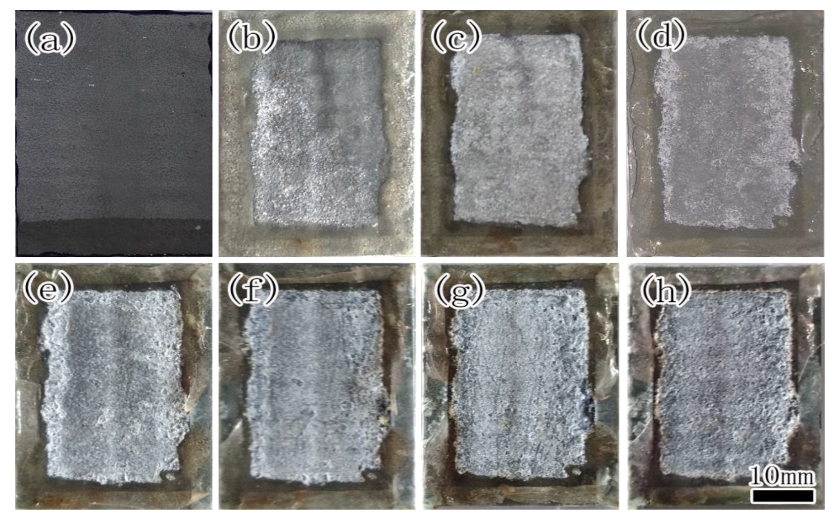 Coatings 10 00931 g004