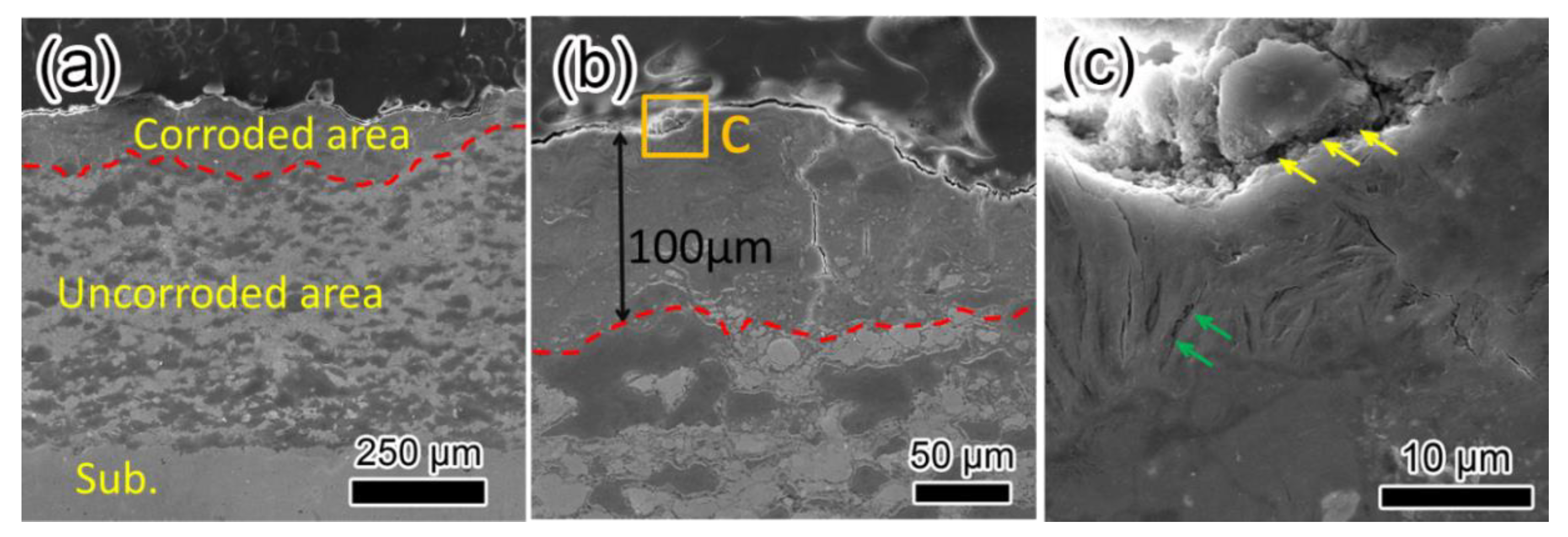 Coatings 10 00931 g005