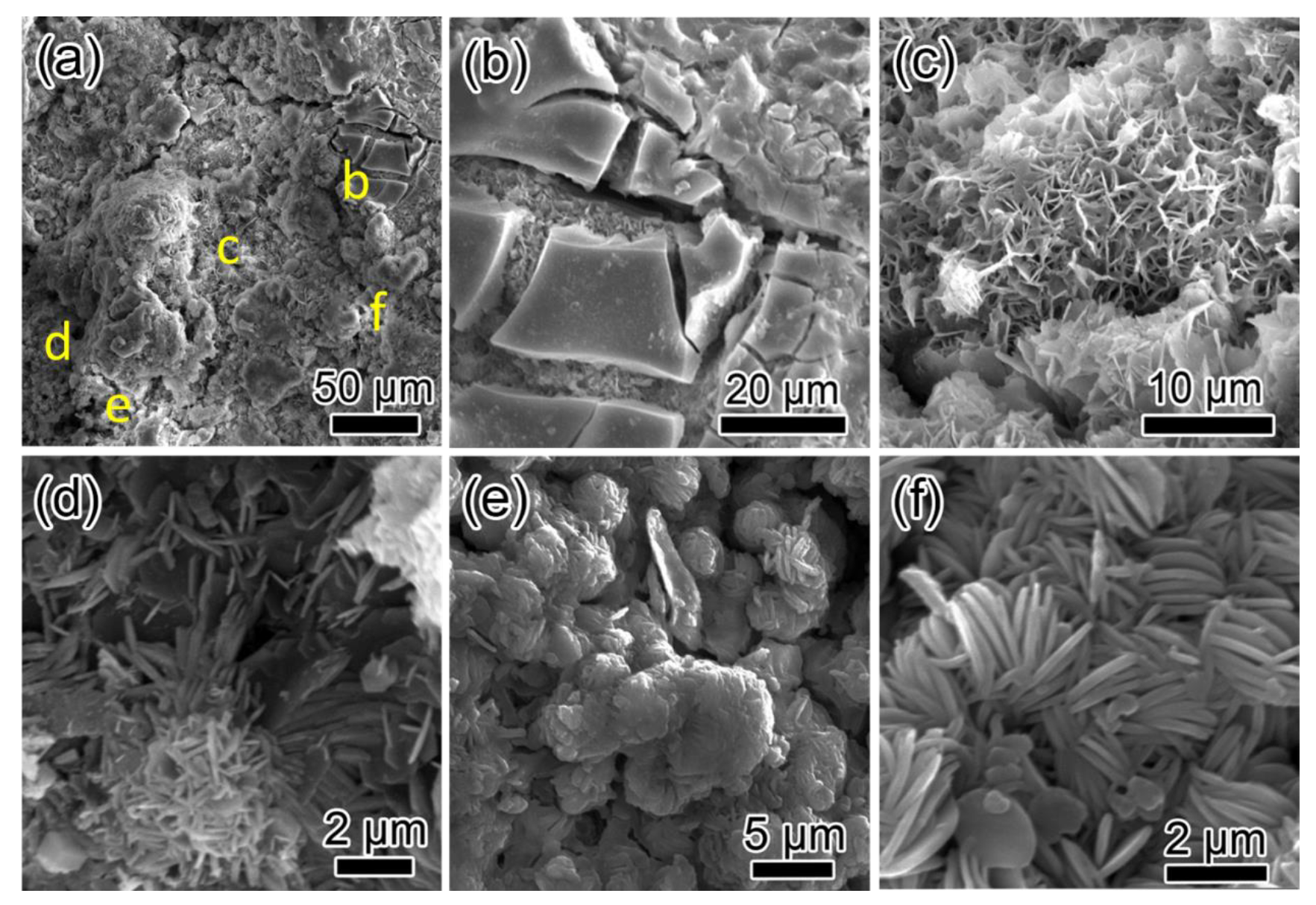 Coatings 10 00931 g007