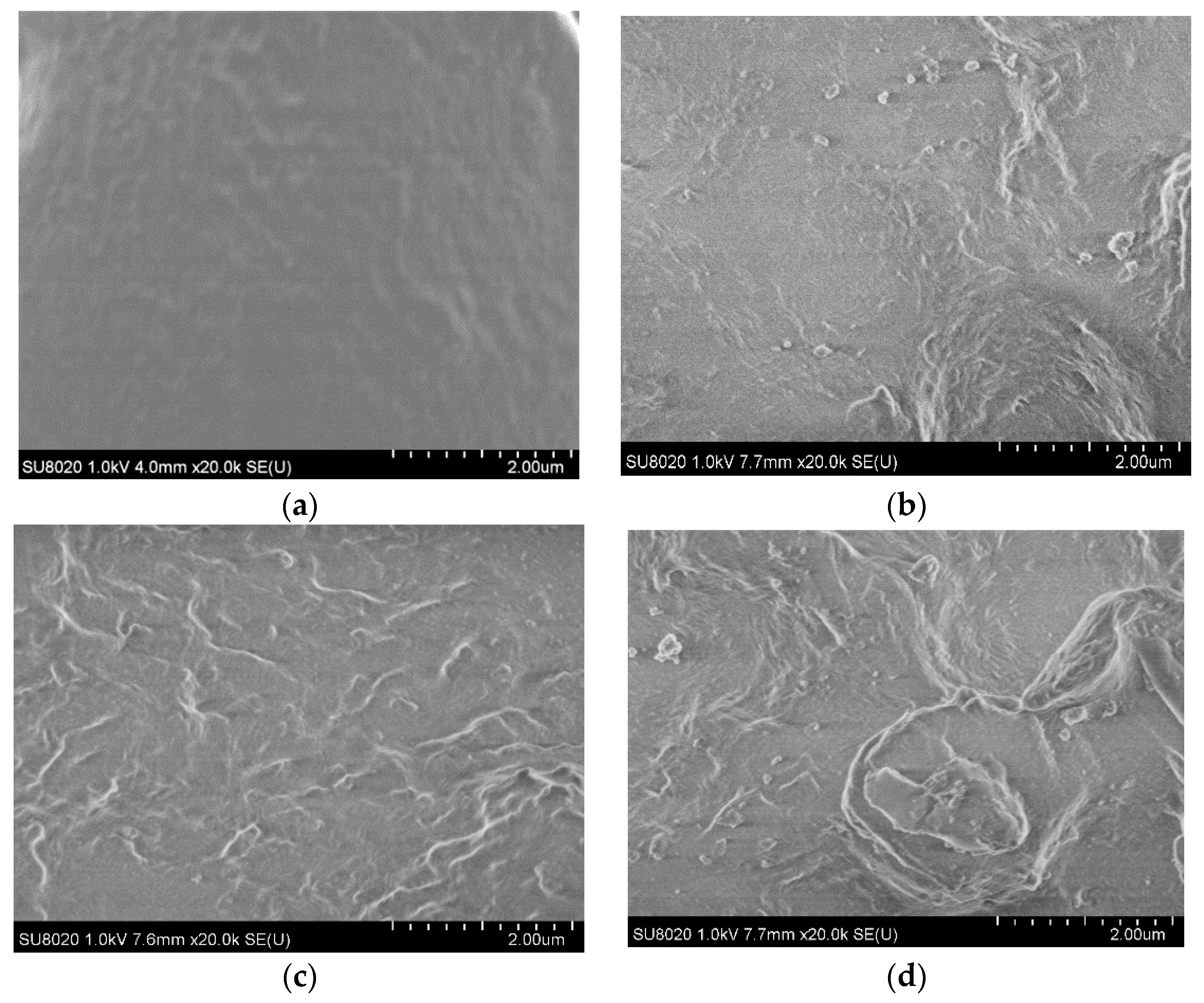 Coatings 10 00932 g003 550