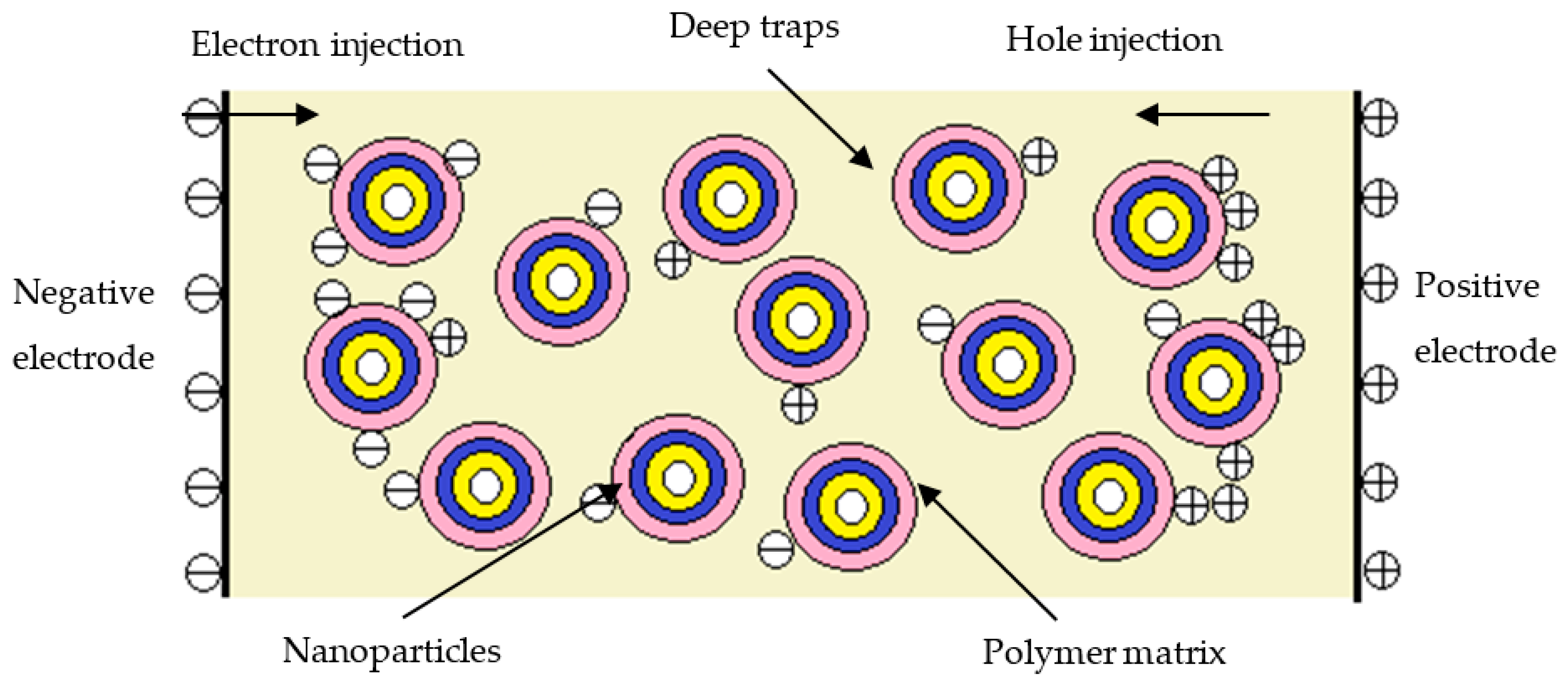 Coatings 10 00932 g008 550