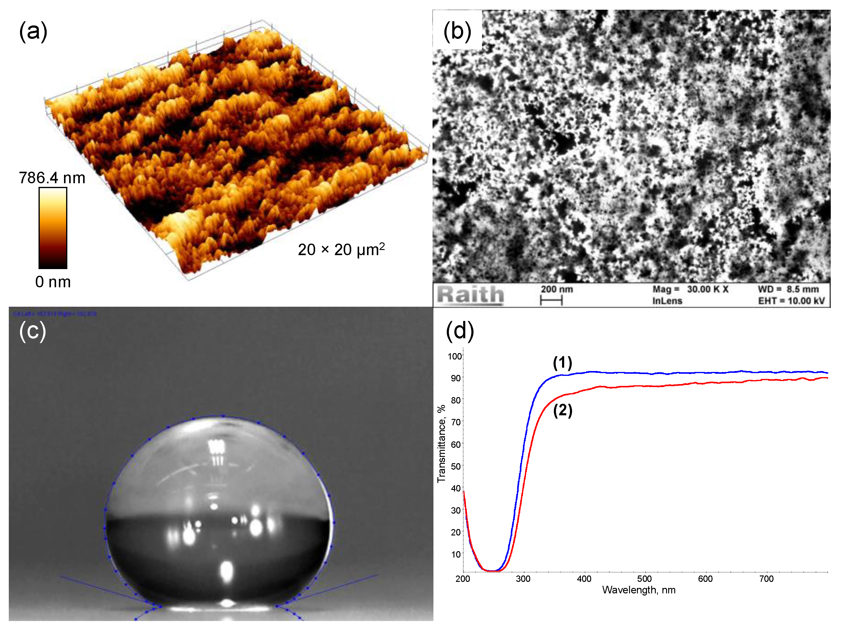 Coatings 10 00934 g001