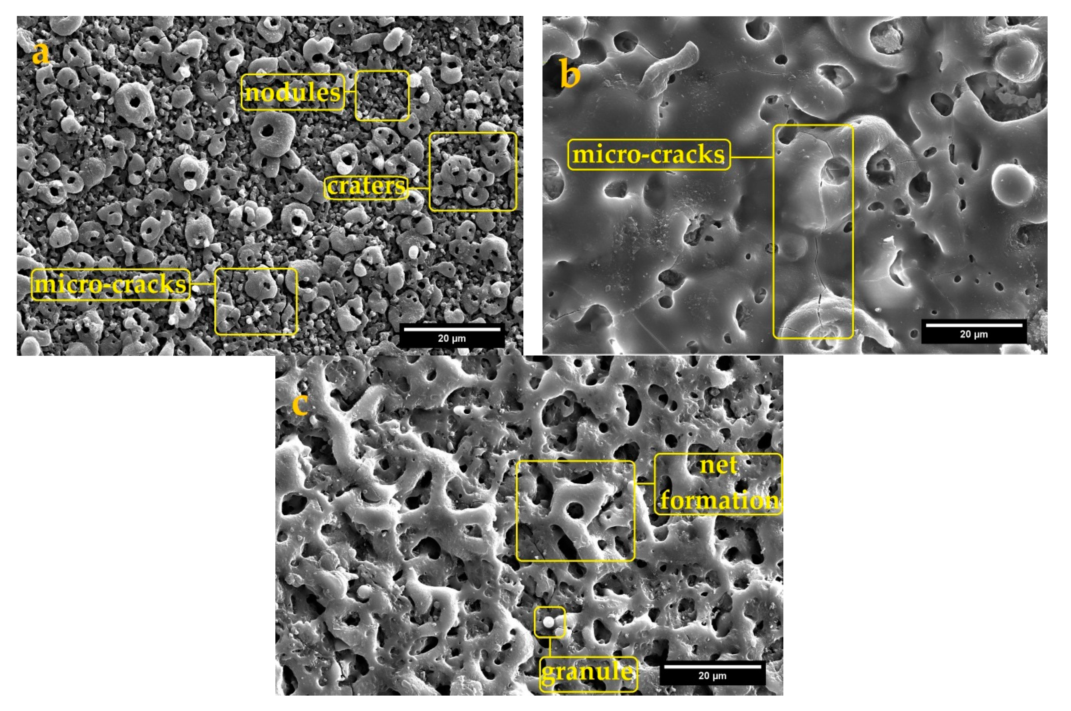 Coatings 10 00937 g002 Coatings 10 00937 g002
