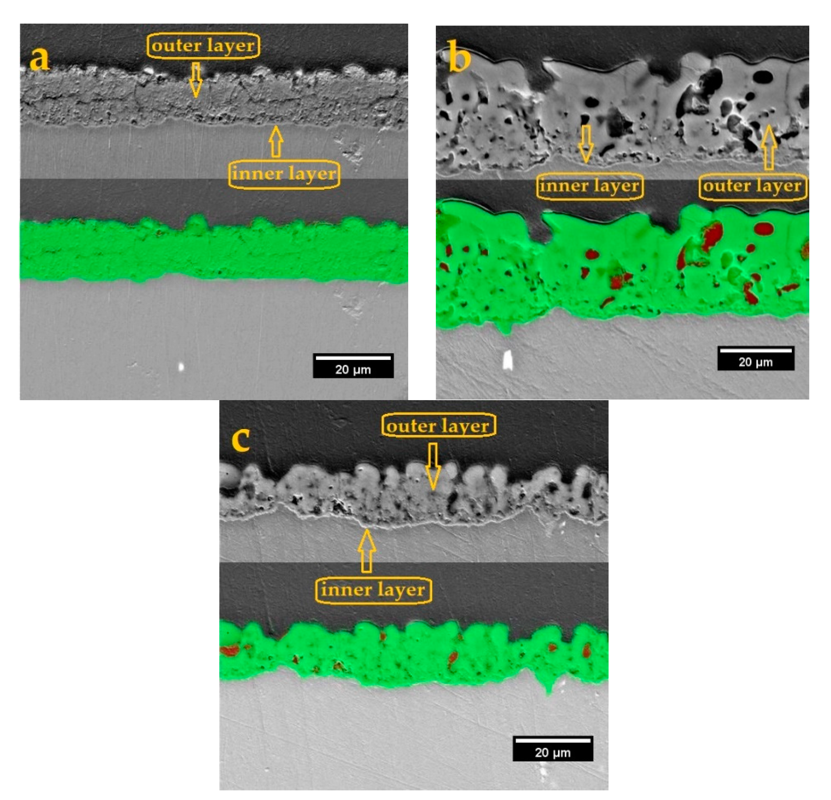 Coatings 10 00937 g003 Coatings 10 00937 g003