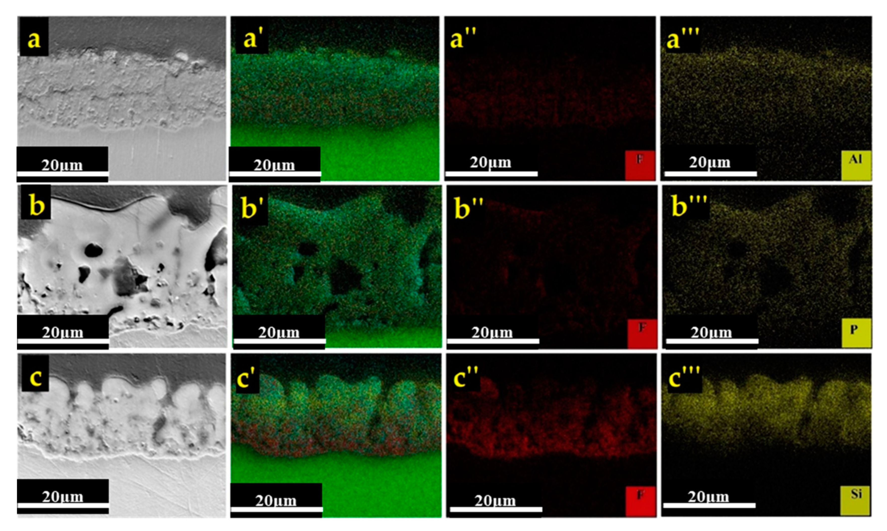 Coatings 10 00937 g005 Coatings 10 00937 g005