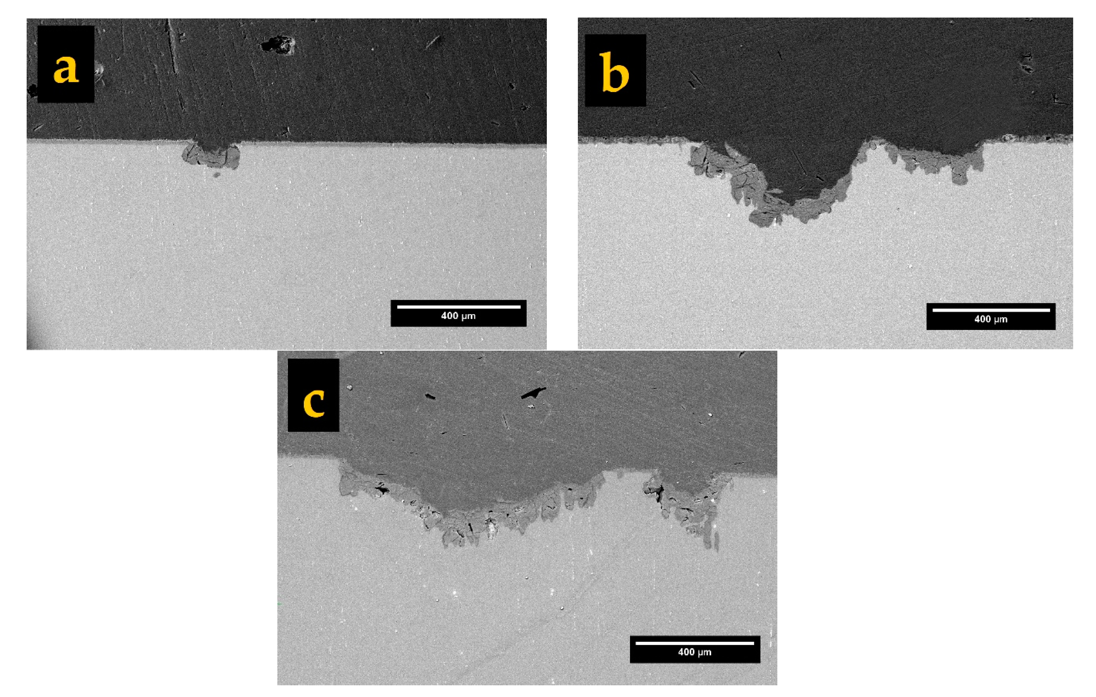 Coatings 10 00937 g008 Coatings 10 00937 g008