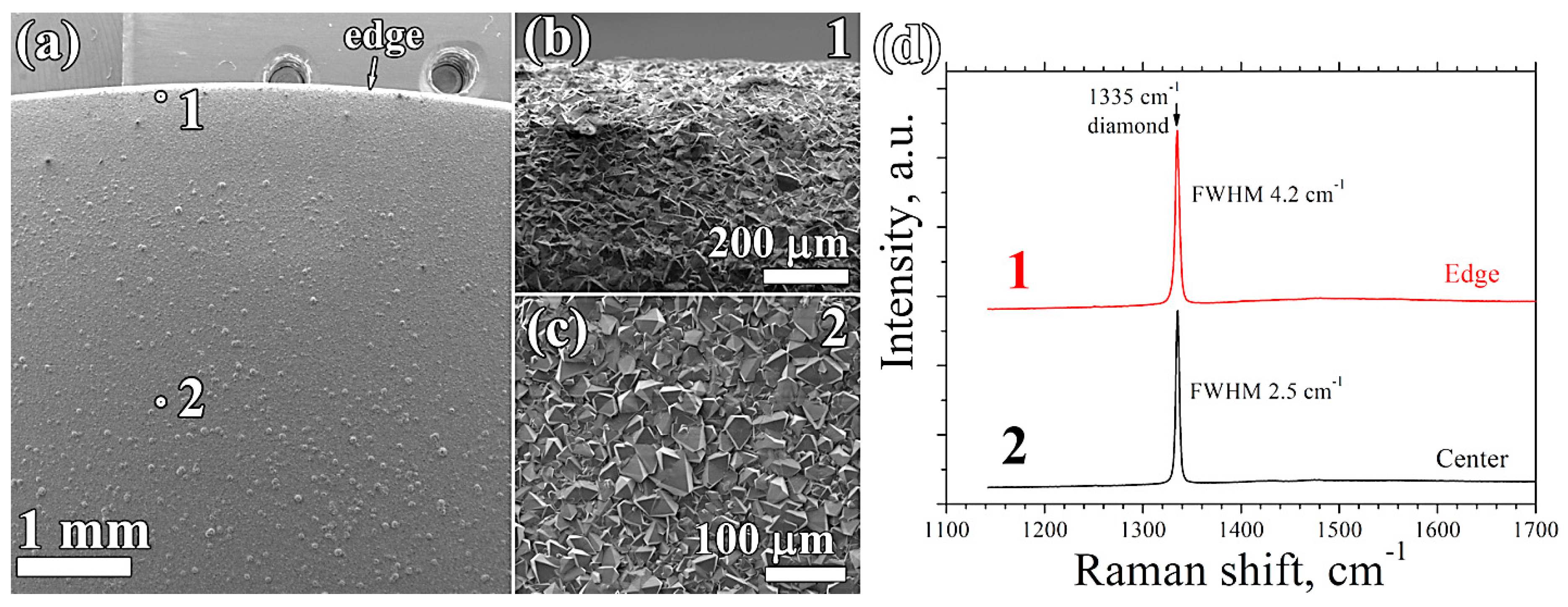 Coatings 10 00939 g005