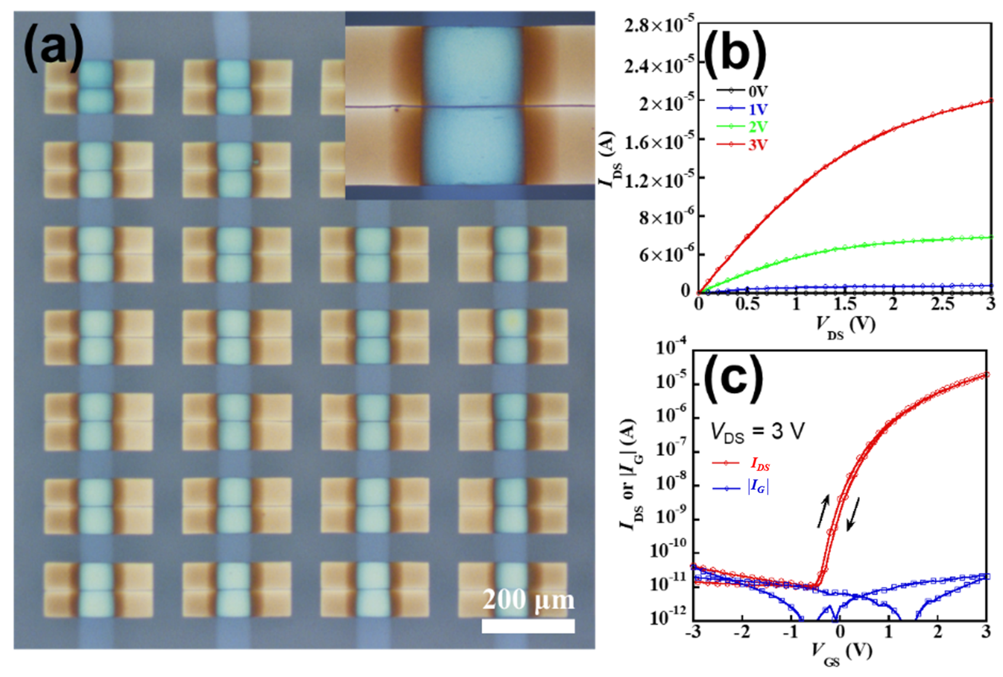 Coatings 10 00942 g006