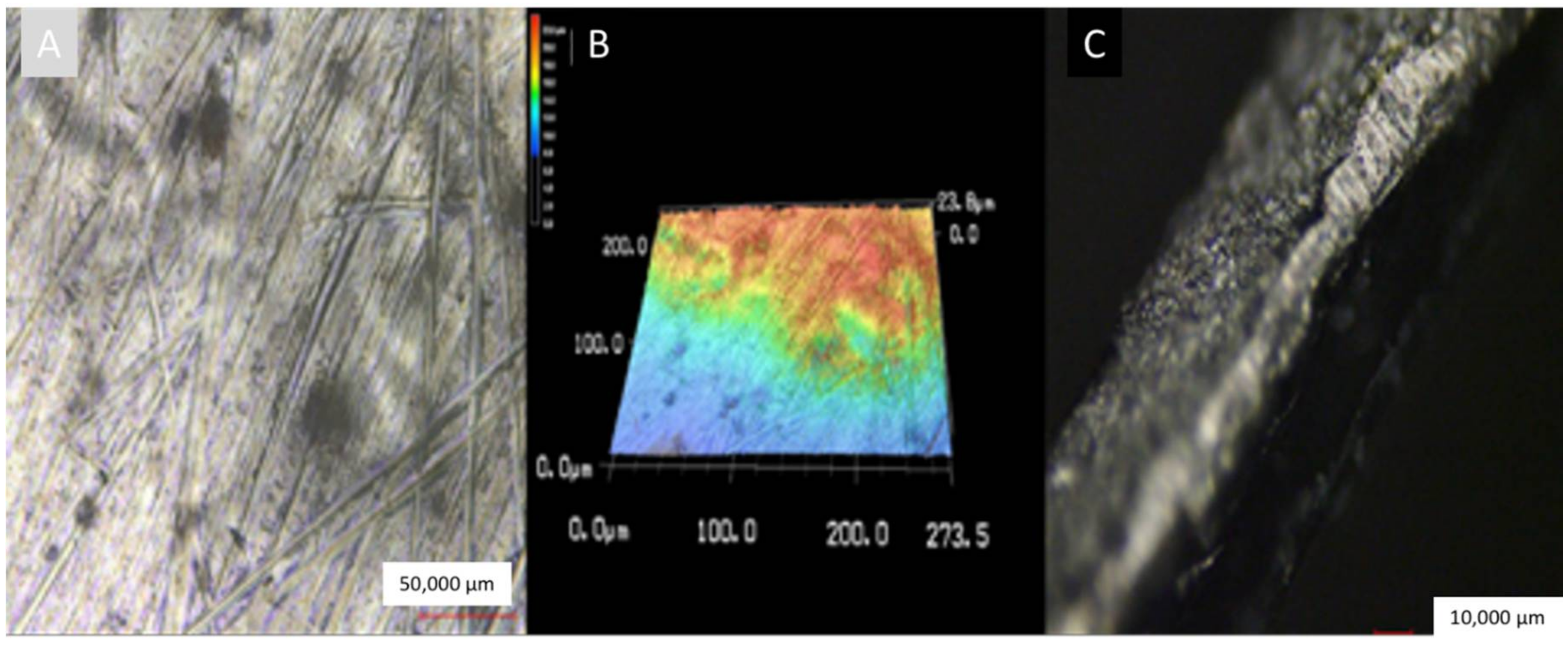 Coatings 10 00944 g002