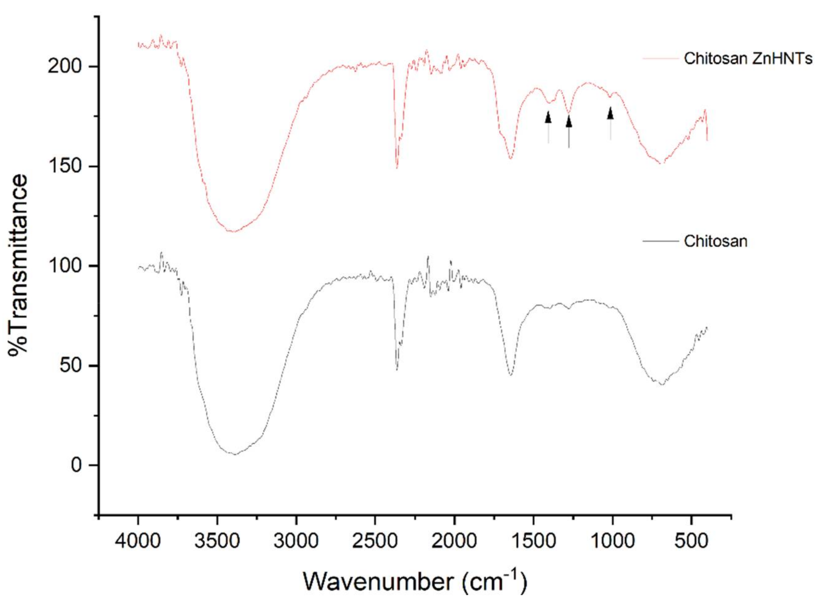 Coatings 10 00944 g005