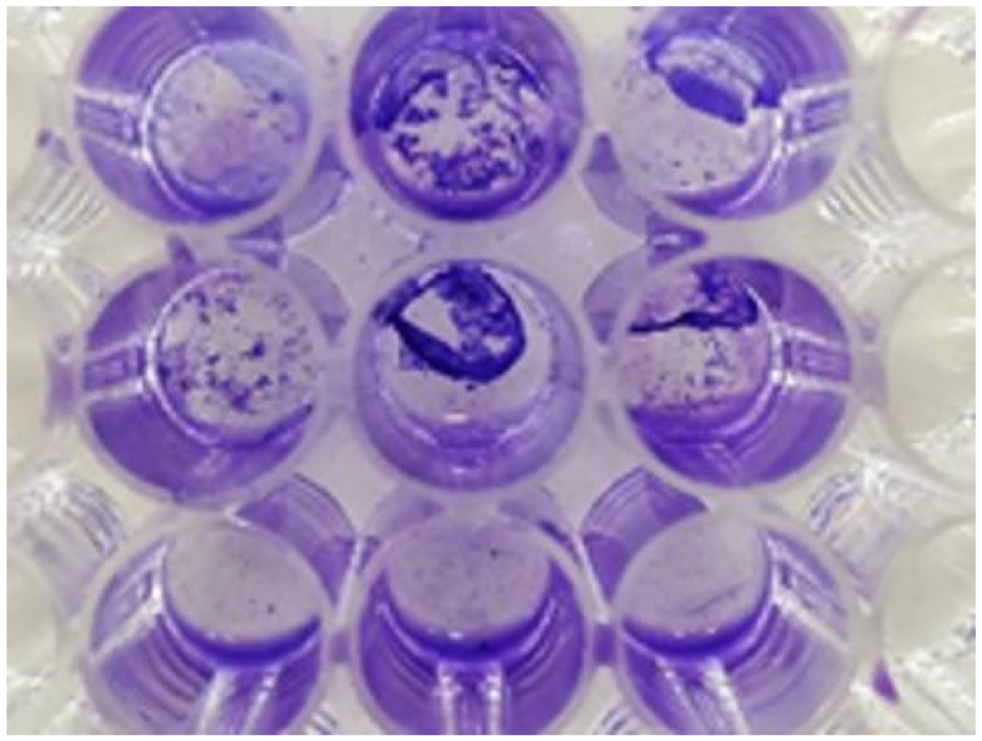 Coatings 10 00944 g010