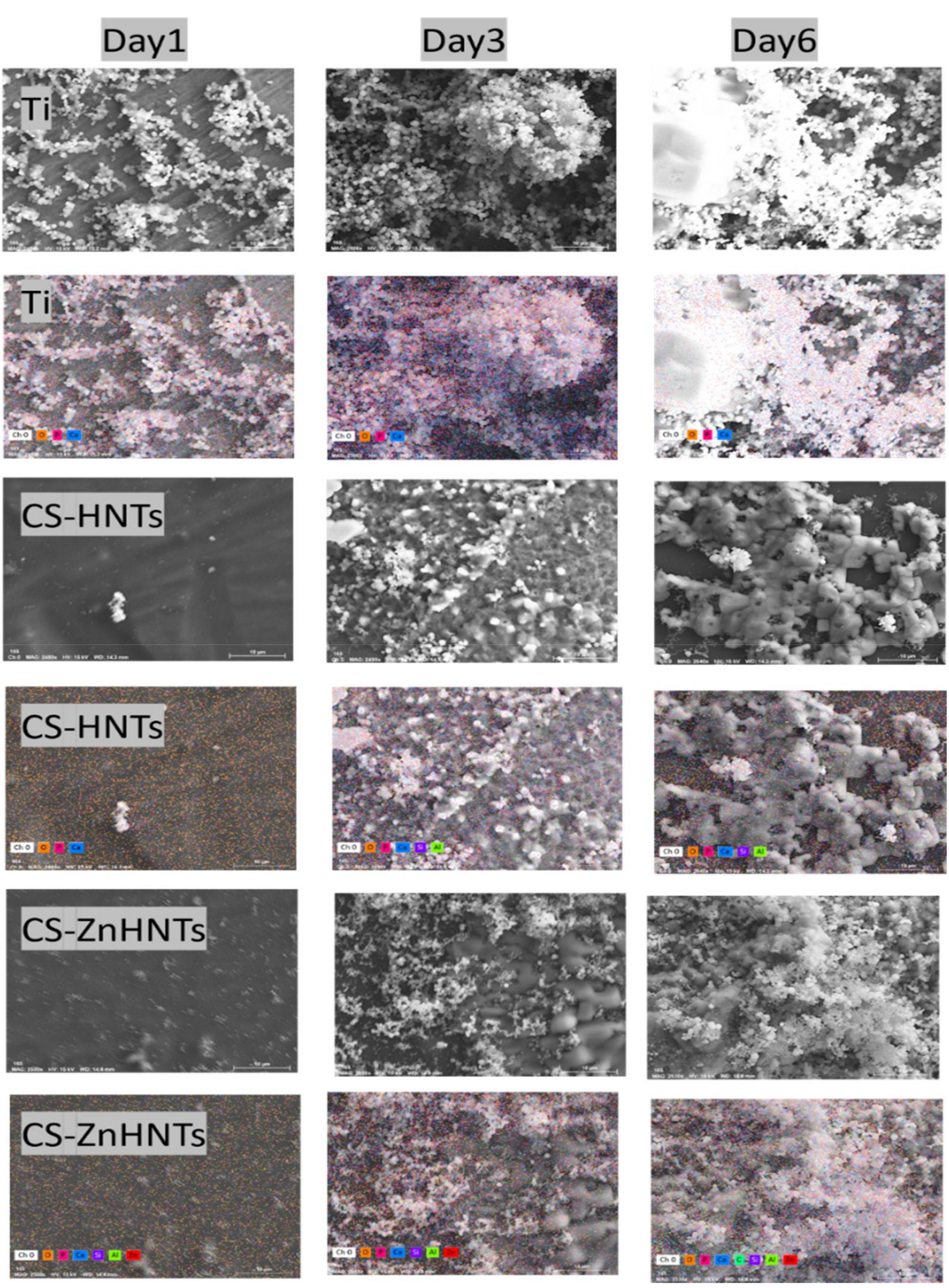 Coatings 10 00944 g016