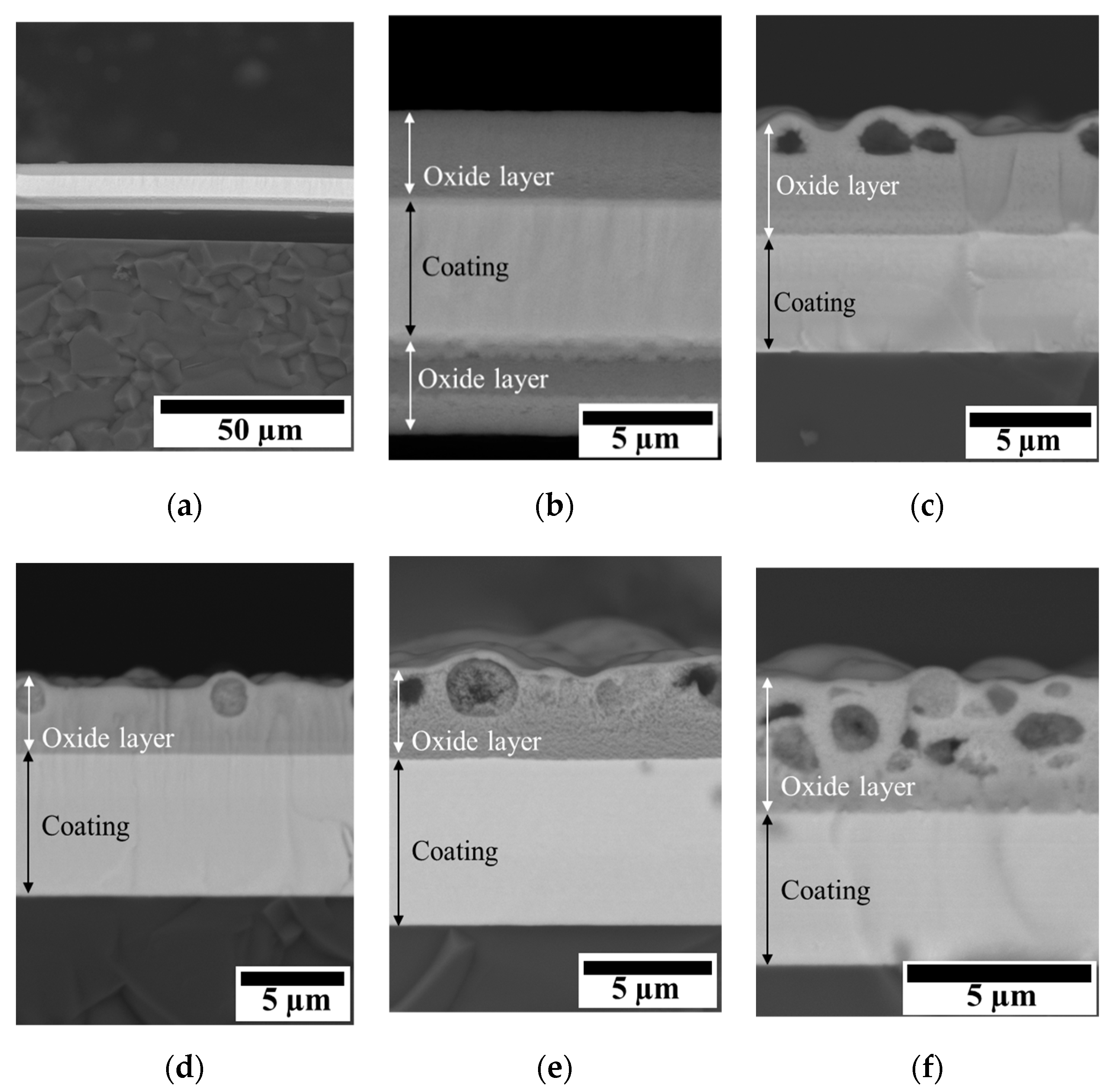 Coatings 10 00946 g007