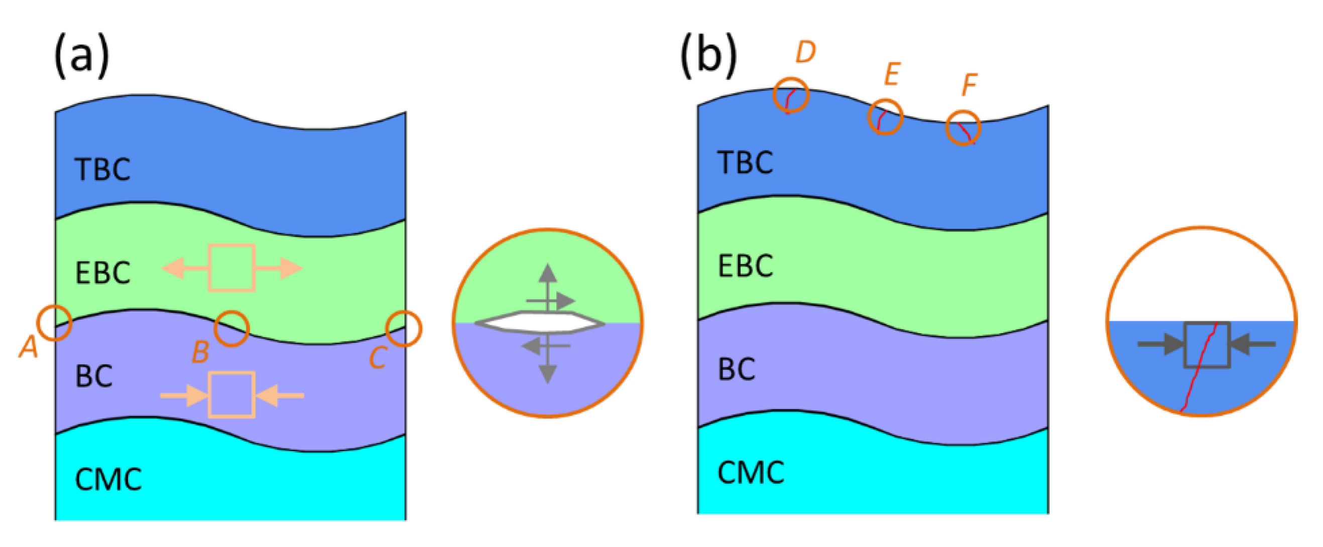 Coatings 10 00947 g011