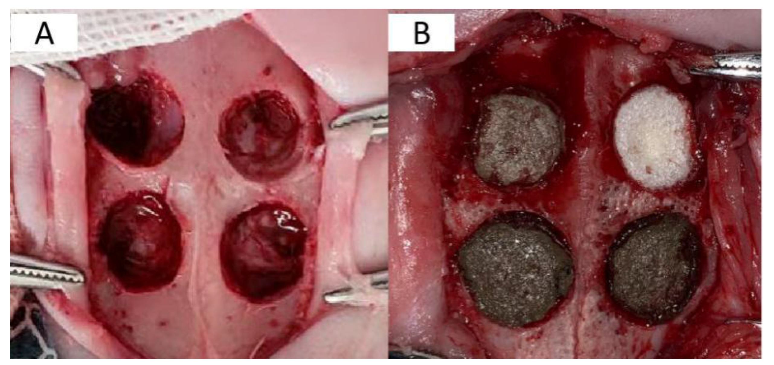 Coatings 10 00948 g001