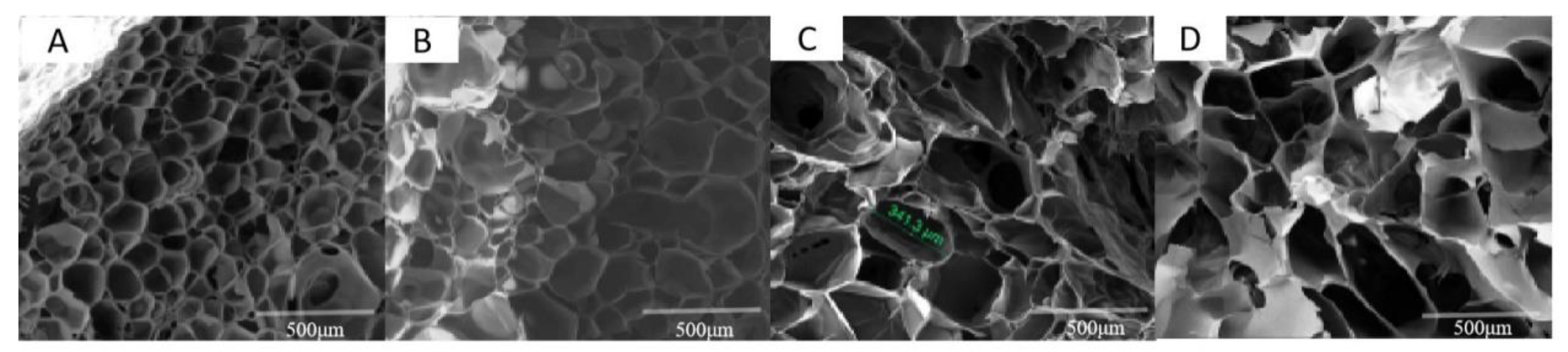 Coatings 10 00948 g002