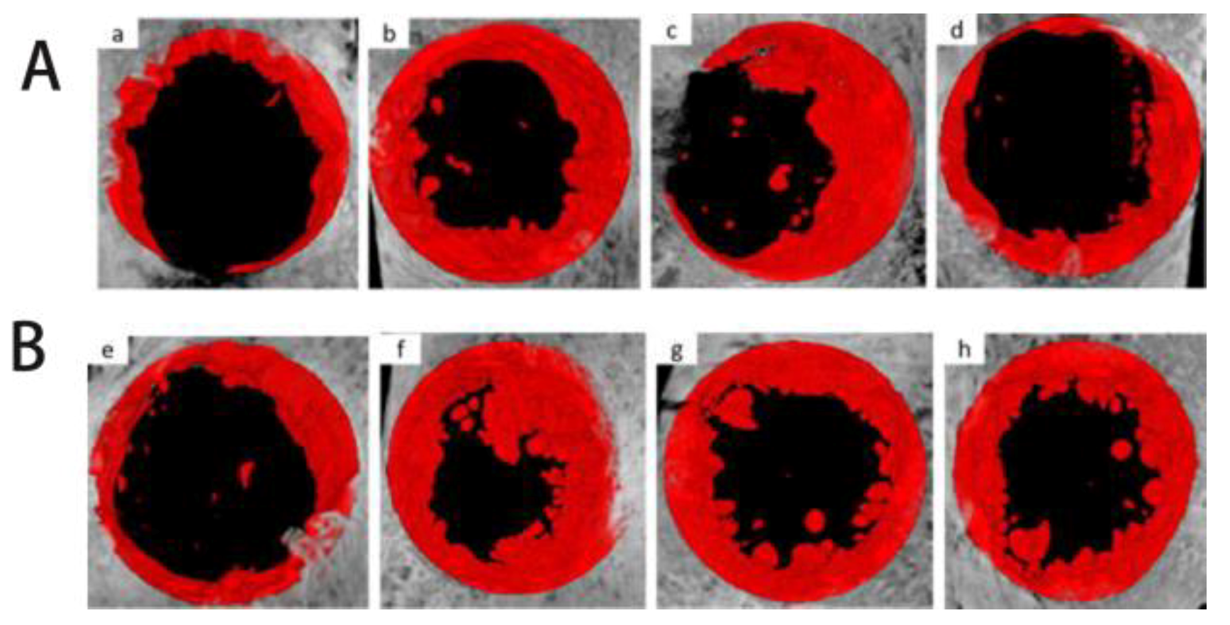 Coatings 10 00948 g007