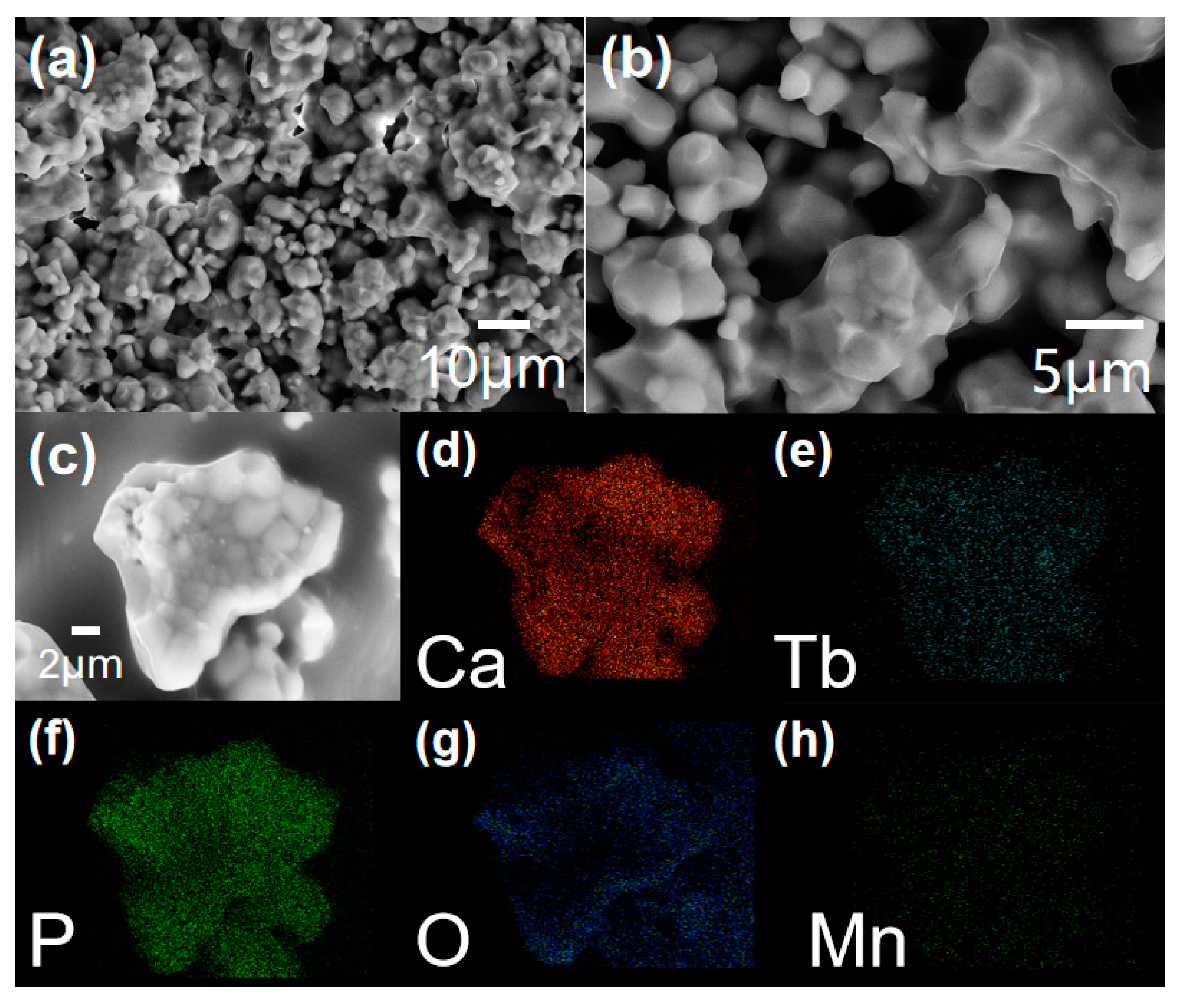 Coatings 10 00952 g002
