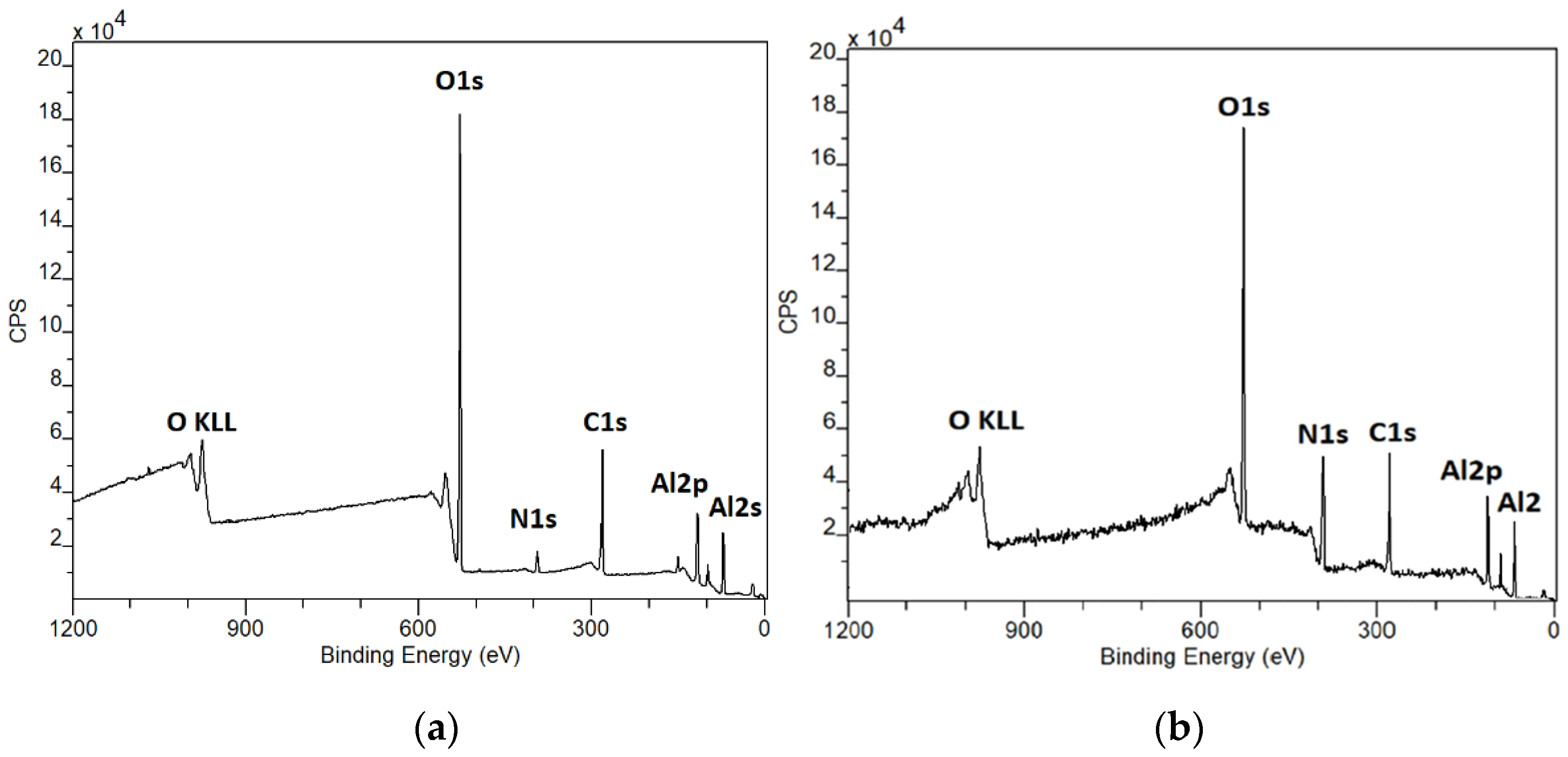 Coatings 10 00954 g006