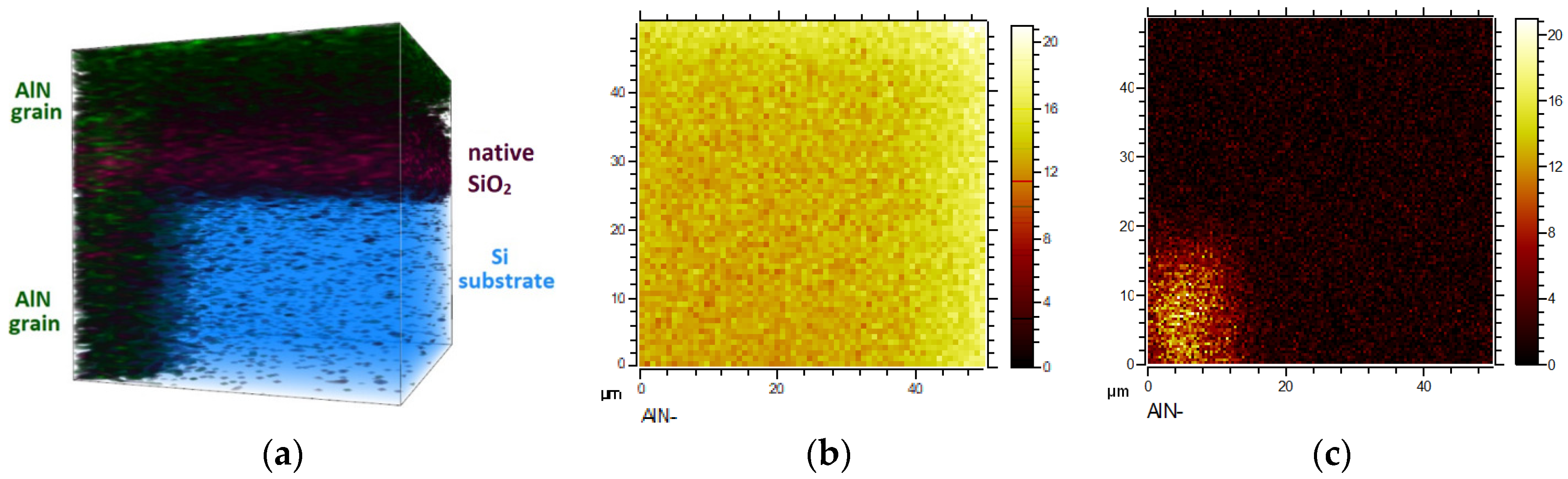 Coatings 10 00954 g012