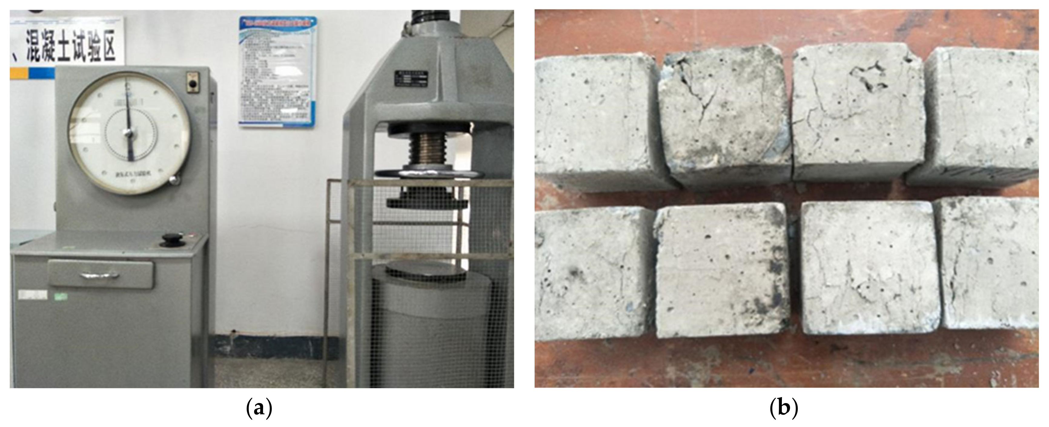 Coatings 10 00955 g004